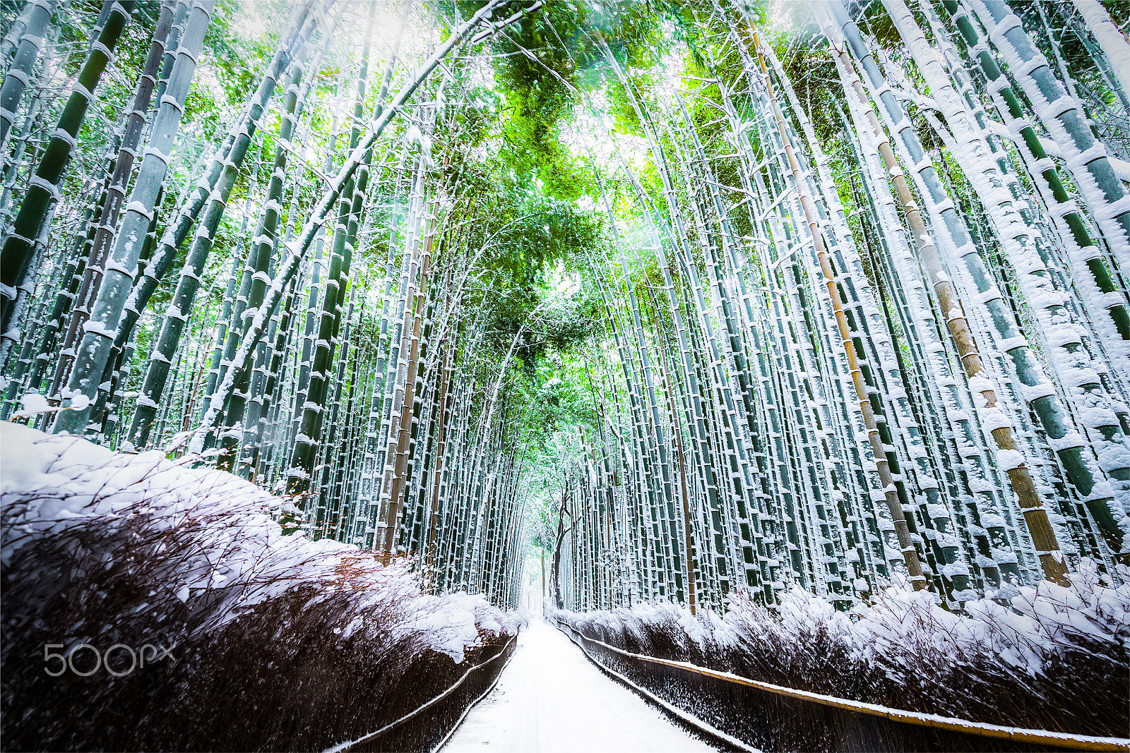 Canon EF 11-24mm F4L USM sample photo. Arashiyama snow fall photography