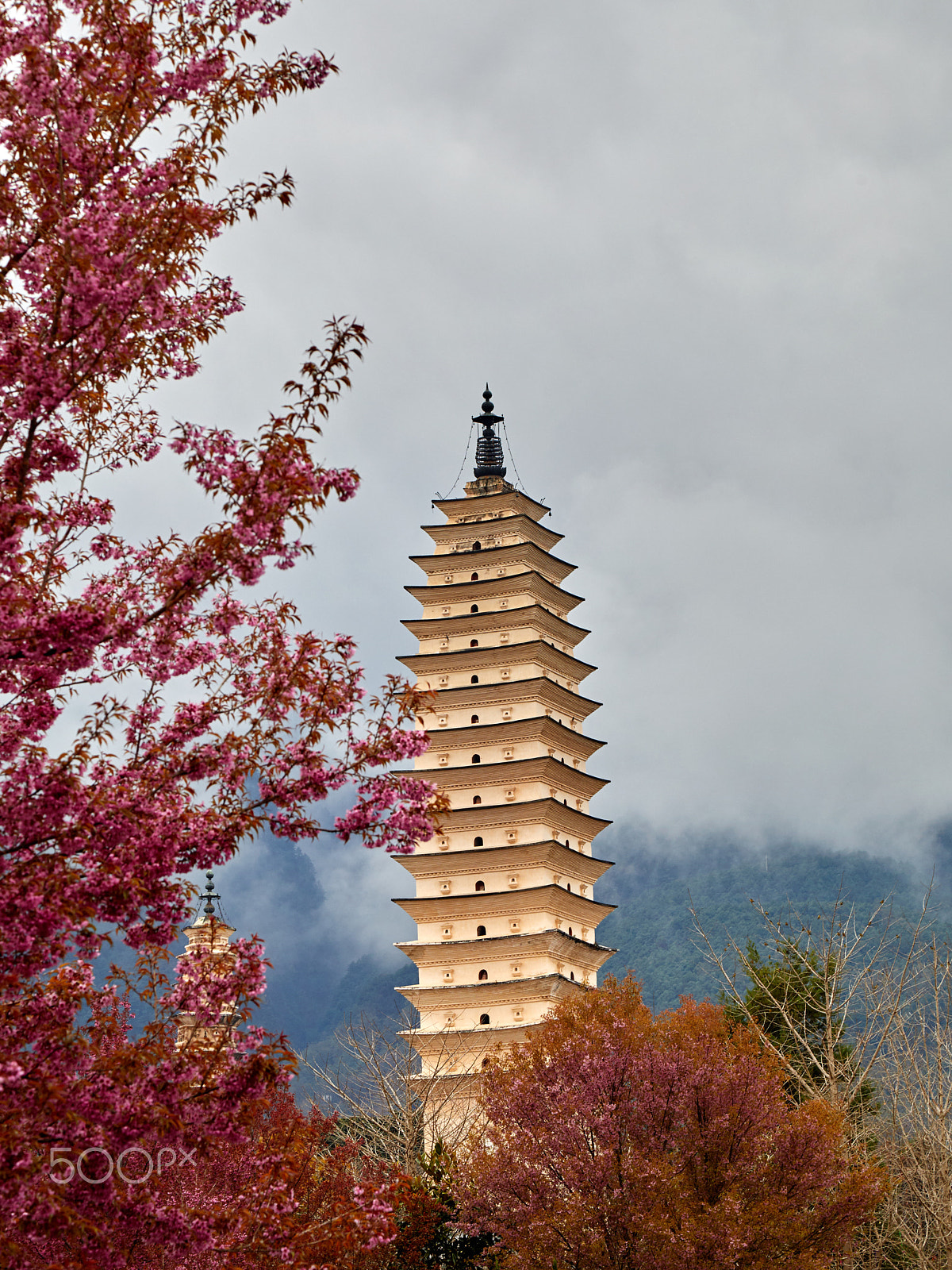 Canon EOS 5D Mark IV sample photo. A traditional tower with sakura photography