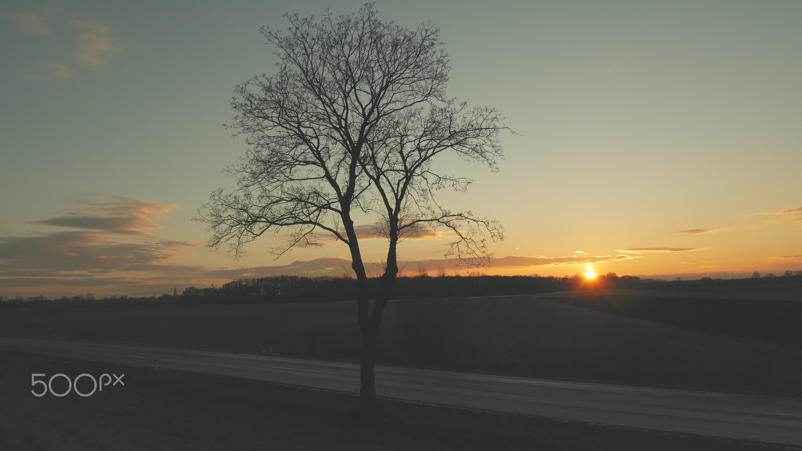 Panasonic Lumix DMC-GX85 (Lumix DMC-GX80 / Lumix DMC-GX7 Mark II) sample photo. Good night sun... photography