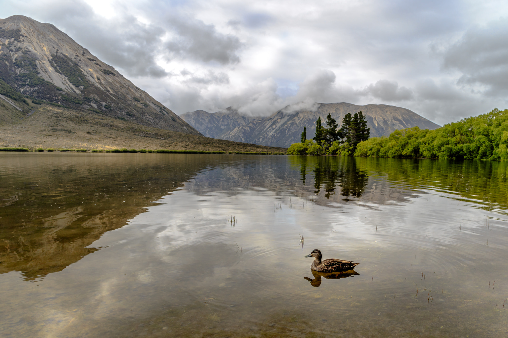 Canon EF 24mm F2.8 IS USM sample photo. Lake pearson photography