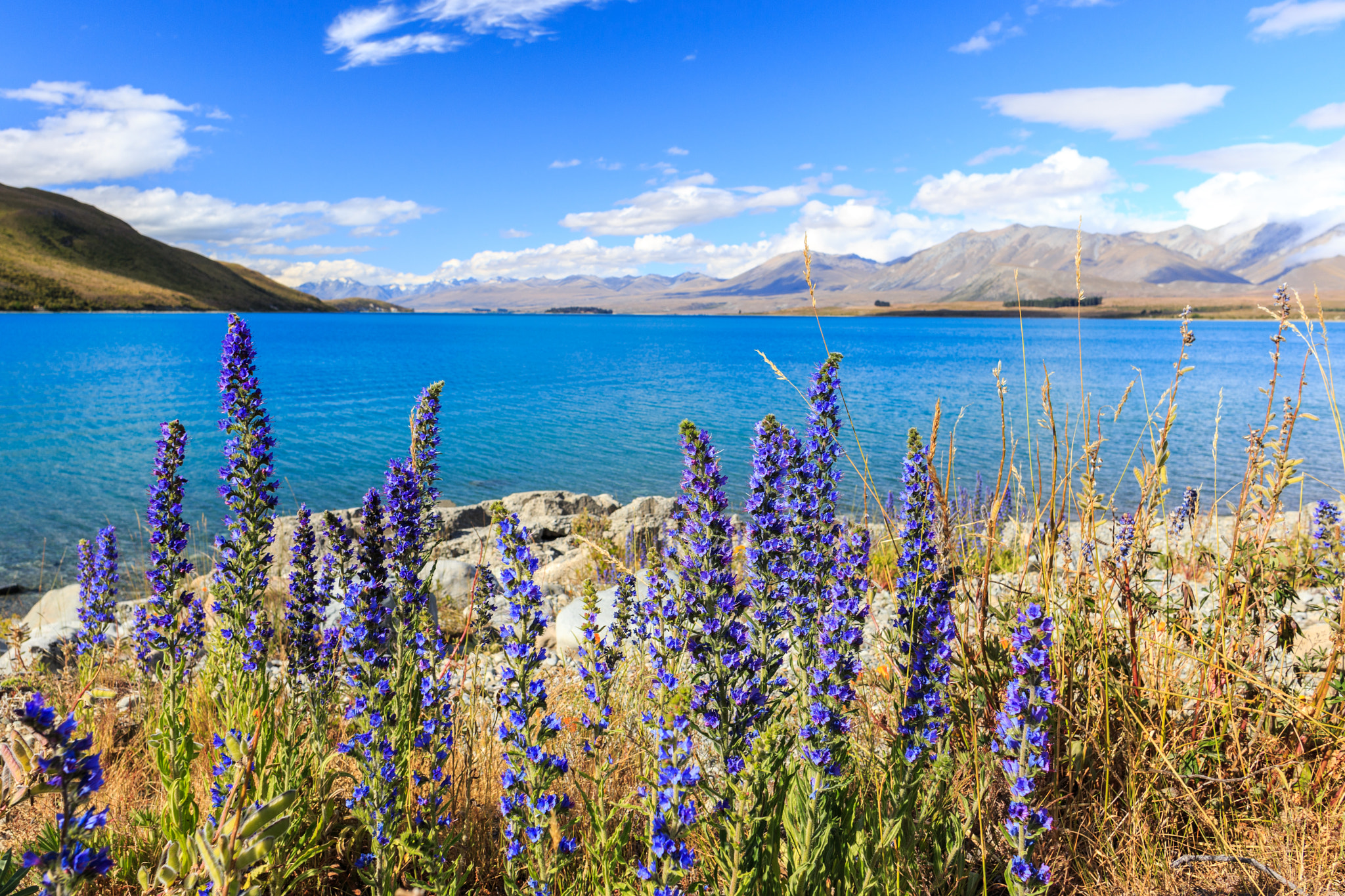 Canon EF 24mm F2.8 IS USM sample photo. Lake tekapo photography