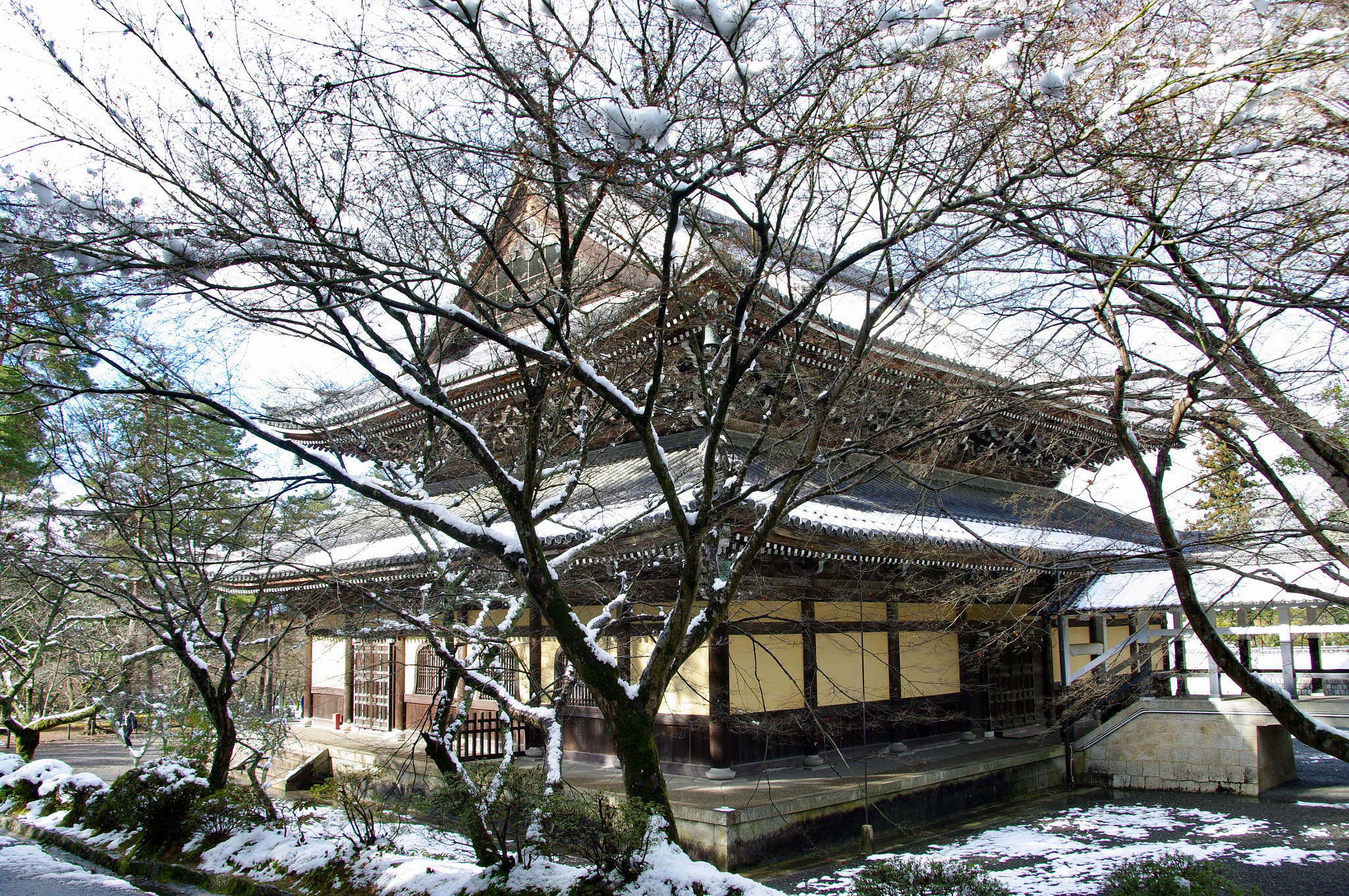 Pentax K20D sample photo. Cold ! photography