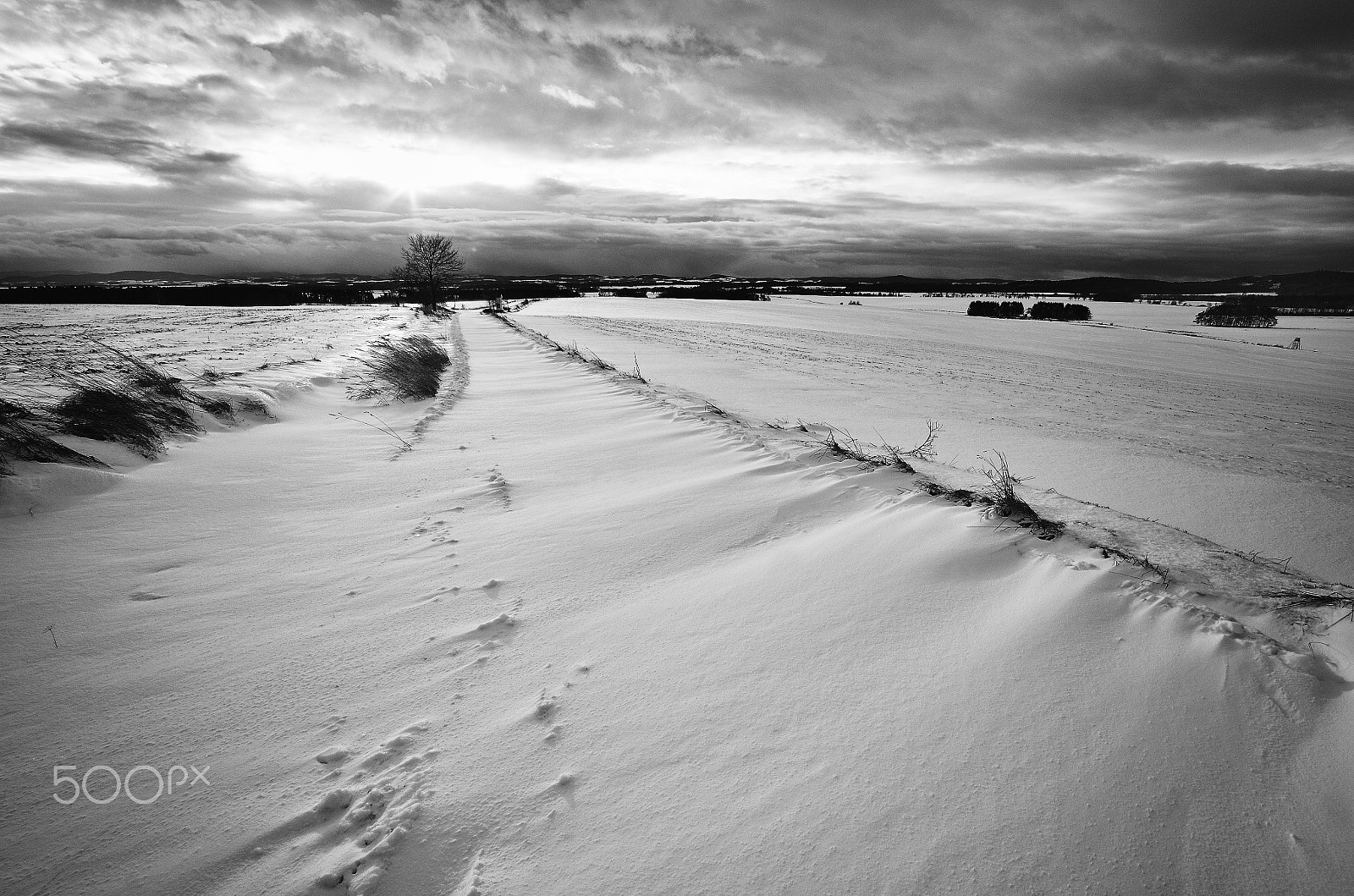 Nikon D7000 sample photo. Snow way ... photography
