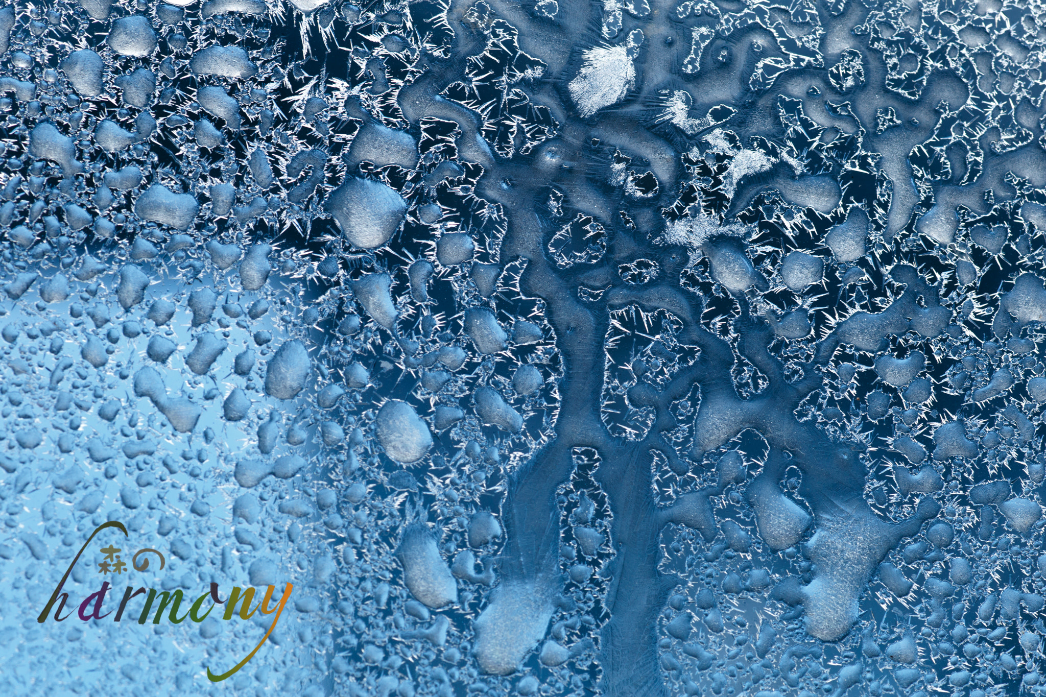 Canon EOS 6D + Tamron SP AF 90mm F2.8 Di Macro sample photo. Jewel on the window photography