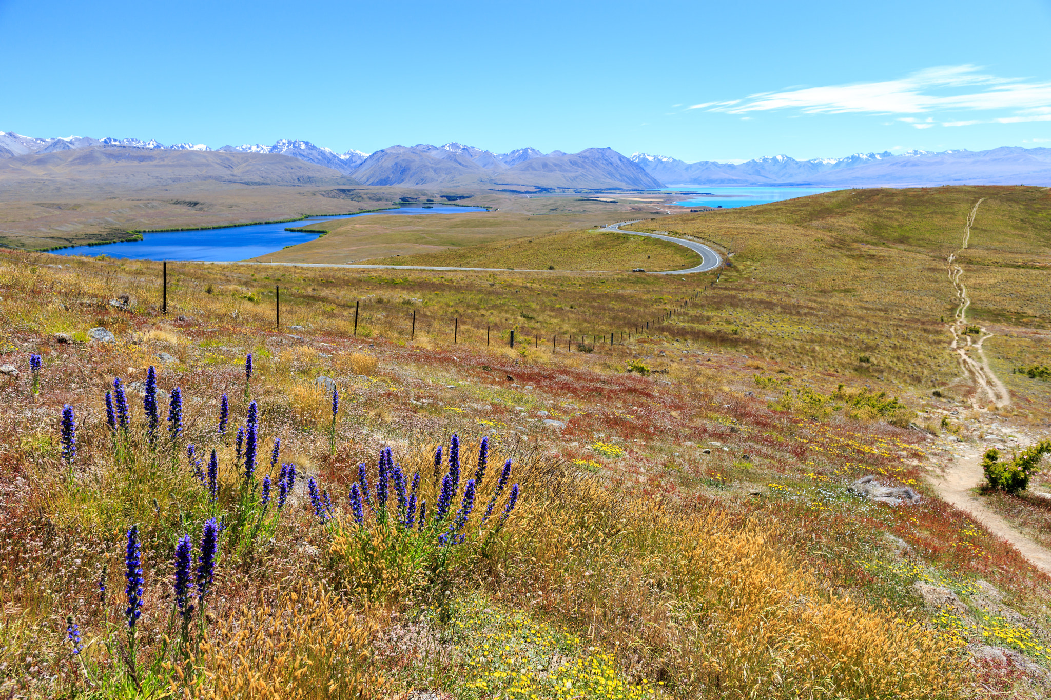 Canon EF 24mm F2.8 IS USM sample photo. Mount john photography