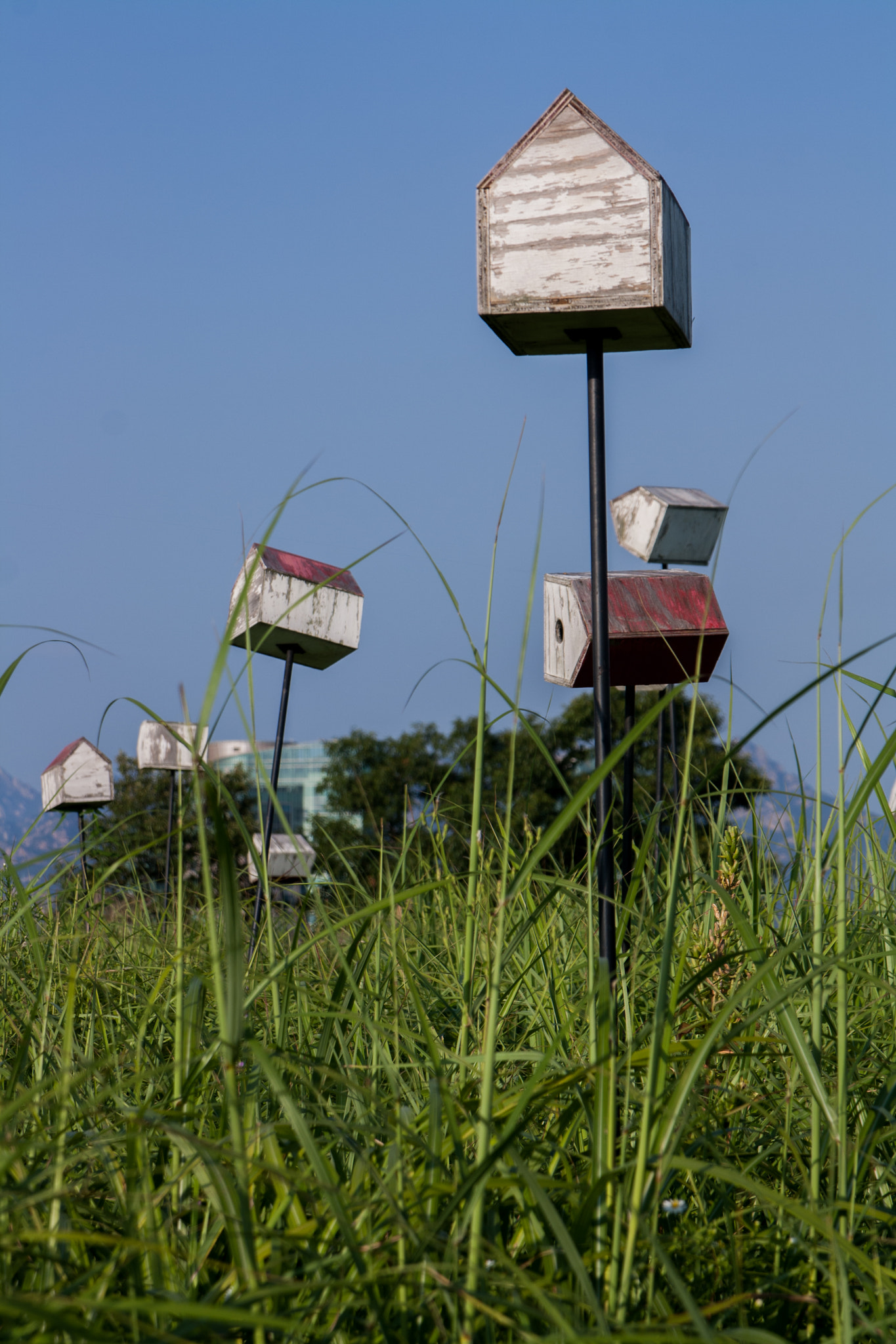 Canon EOS 1000D (EOS Digital Rebel XS / EOS Kiss F) sample photo. 하늘공원 photography
