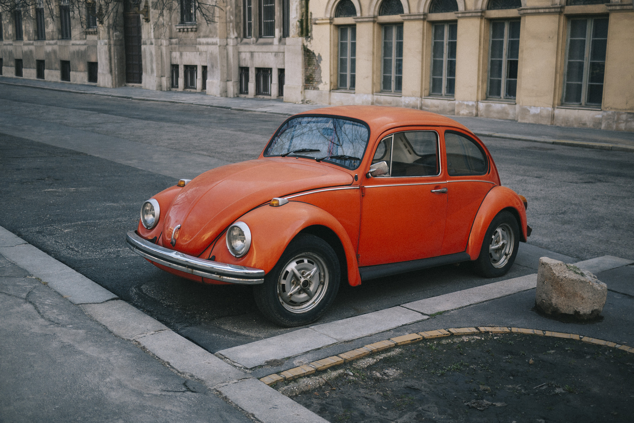 Panasonic Lumix DMC-GF1 sample photo. The orange beetle photography