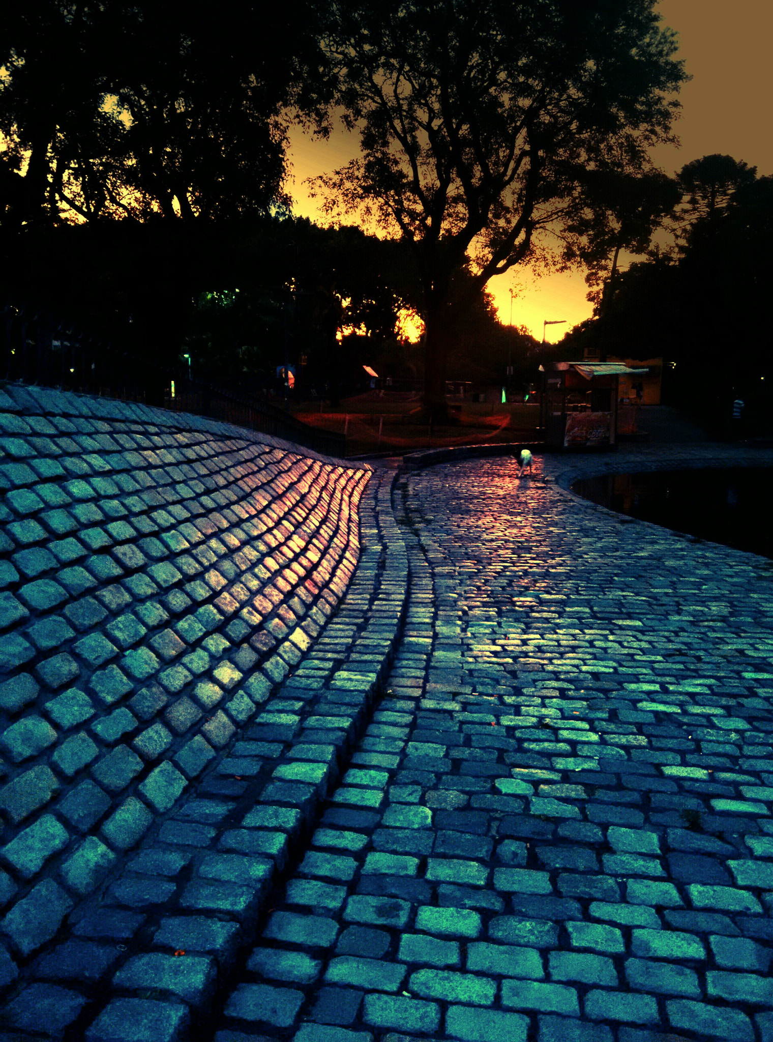 Motorola Moto G with 4G LTE (2nd Gen) sample photo. Parque centenario - buenos aires, argentina photography