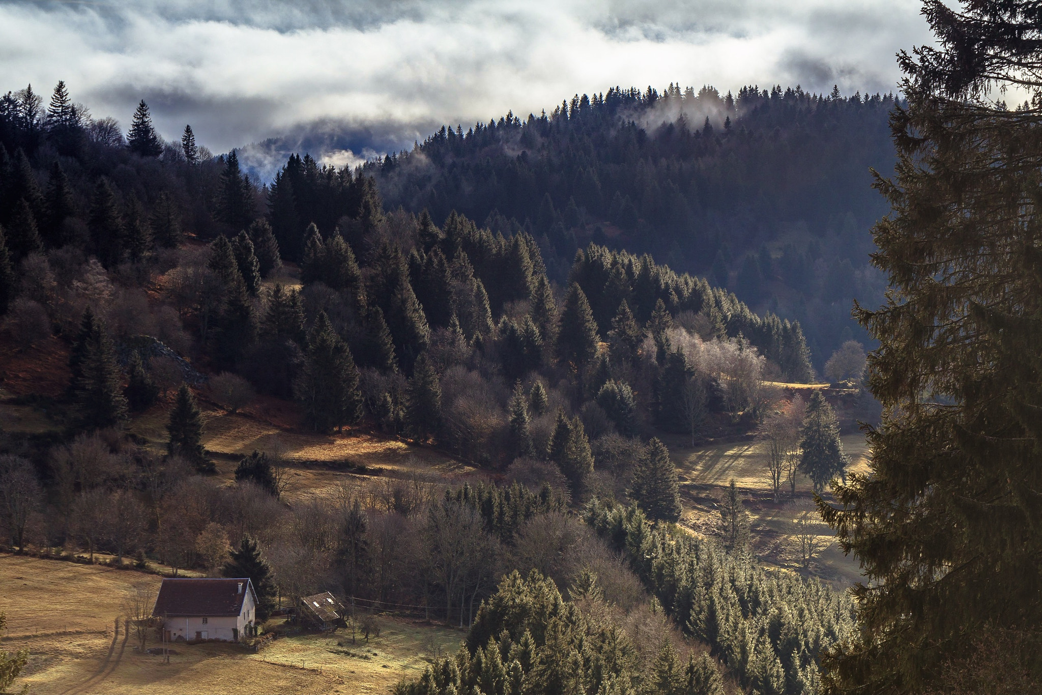 Tamron SP 85mm F1.8 Di VC USD sample photo. Ferme vosgienne photography