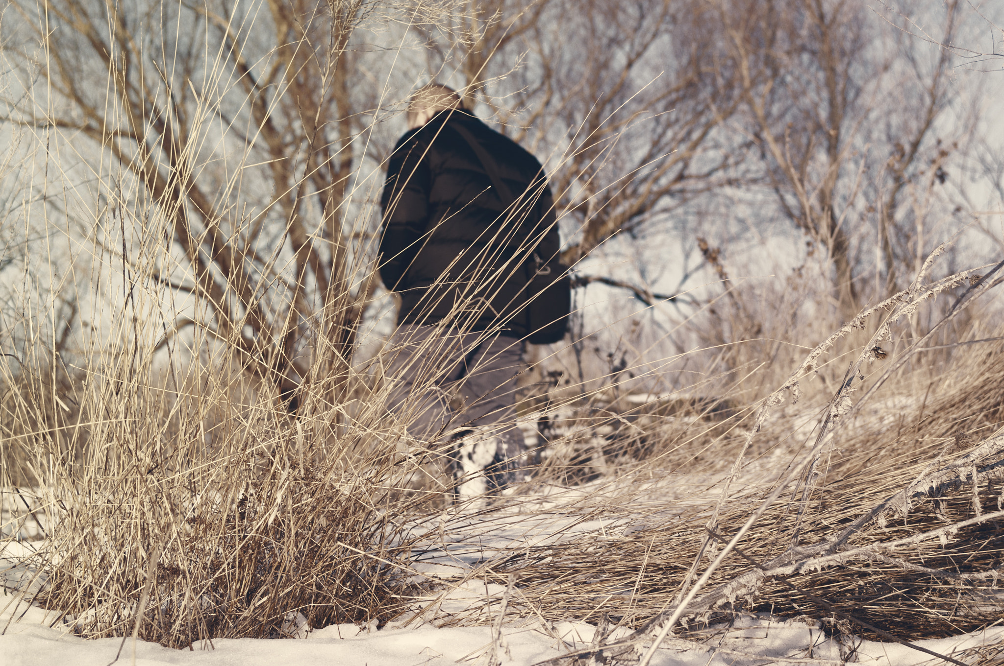 AF Zoom-Nikkor 35-70mm f/3.3-4.5 sample photo. #36 photography