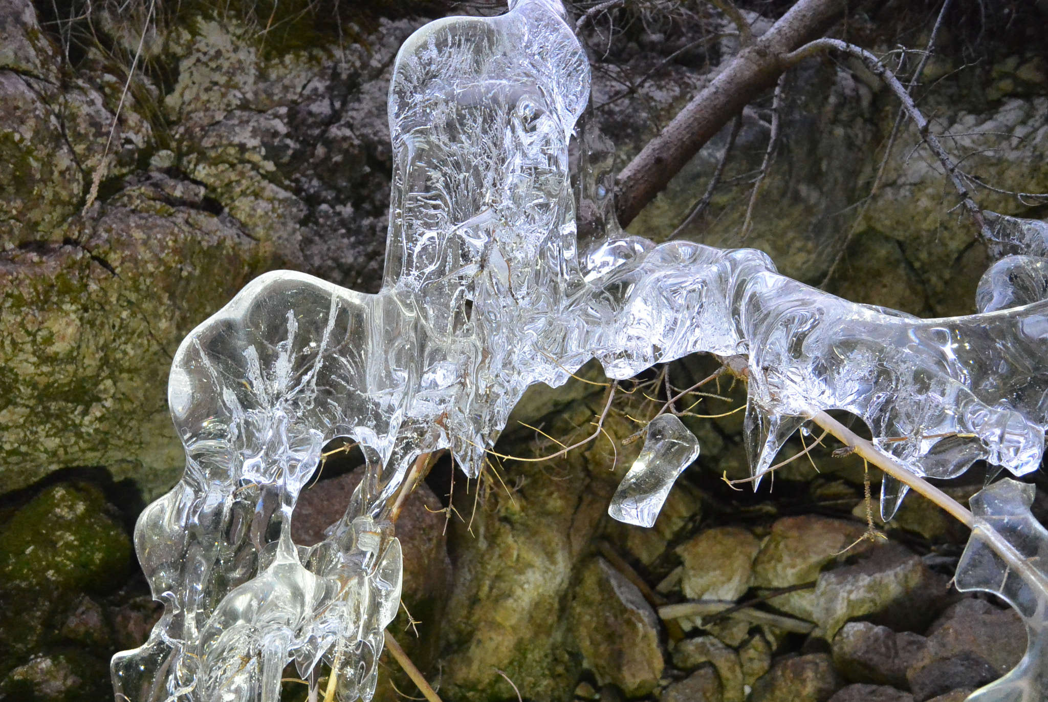 Nikon 1 S1 sample photo. Surrounded by ice photography
