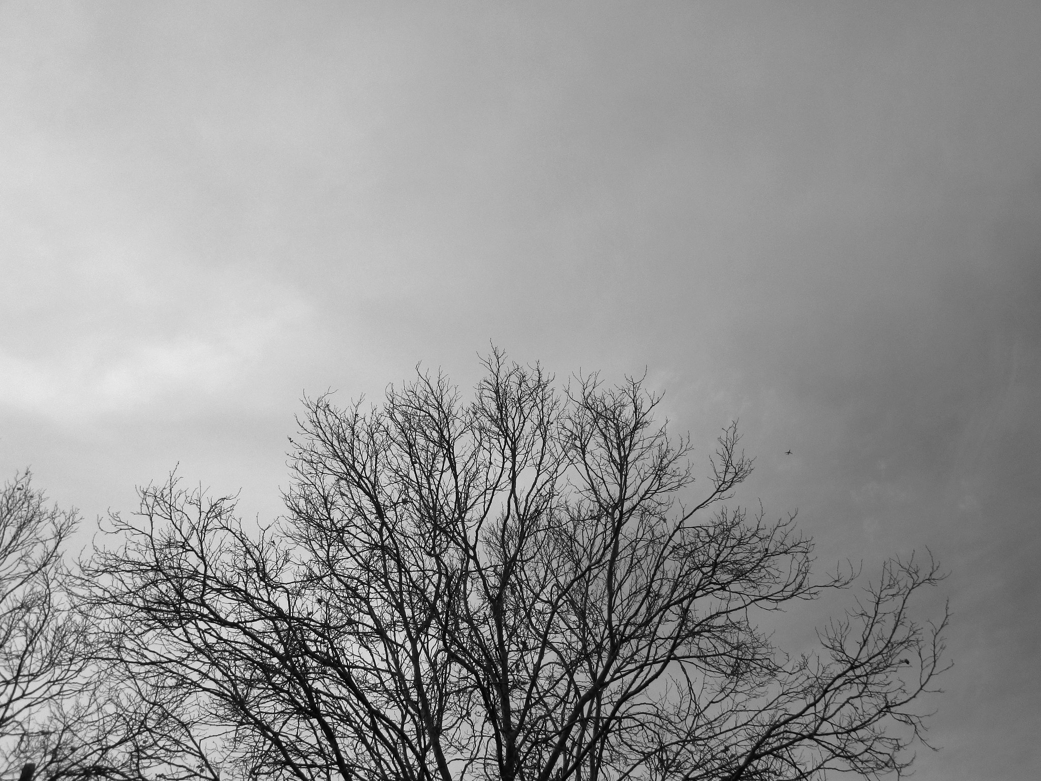 Canon PowerShot ELPH 180 (IXUS 175 / IXY 180) sample photo. Powershots photography