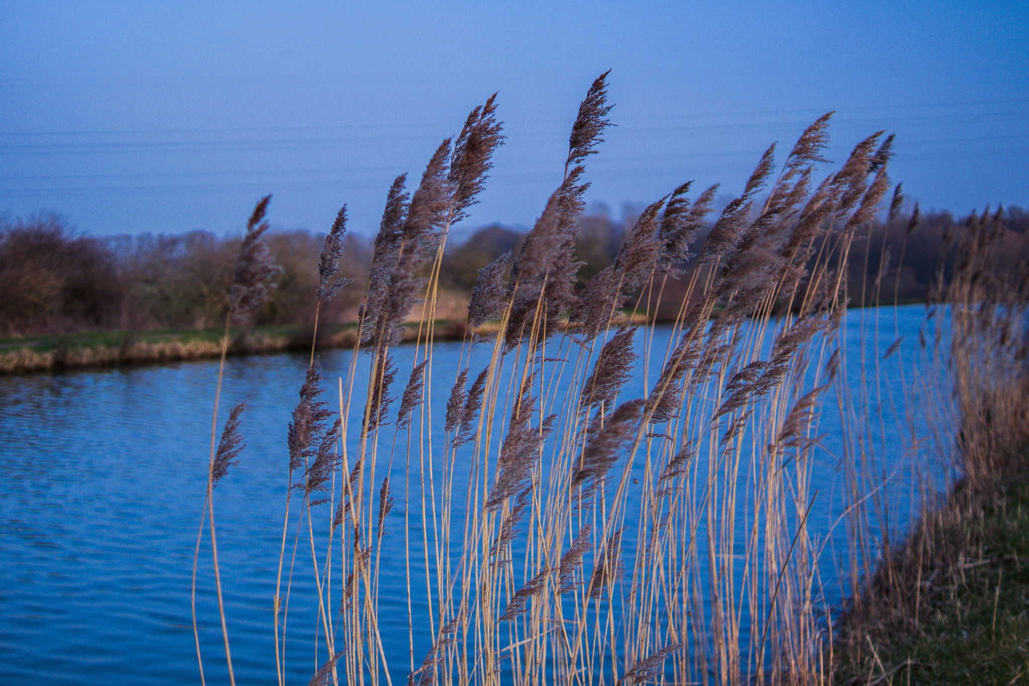 Sony SLT-A65 (SLT-A65V) + Sony DT 35mm F1.8 SAM sample photo. End of days photography