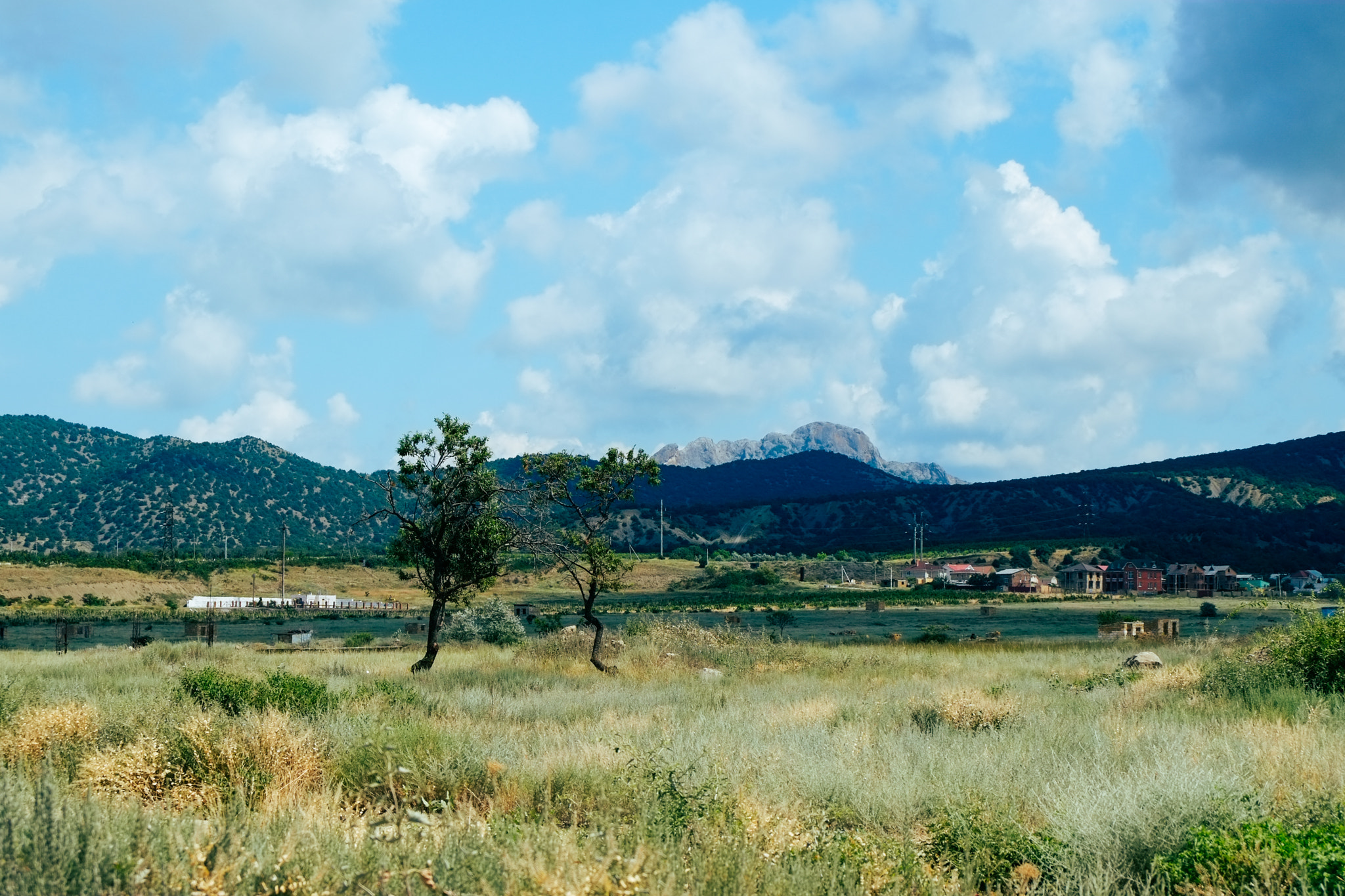 Fujifilm XC 16-50mm F3.5-5.6 OIS sample photo. Two woods photography