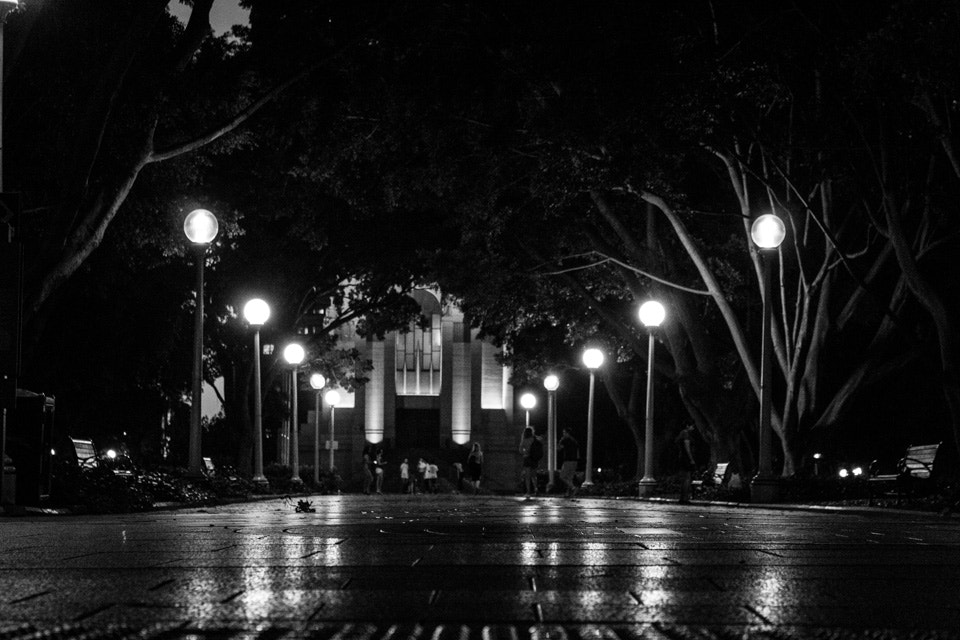 Canon EOS 60D sample photo. A black and white hyde park photography