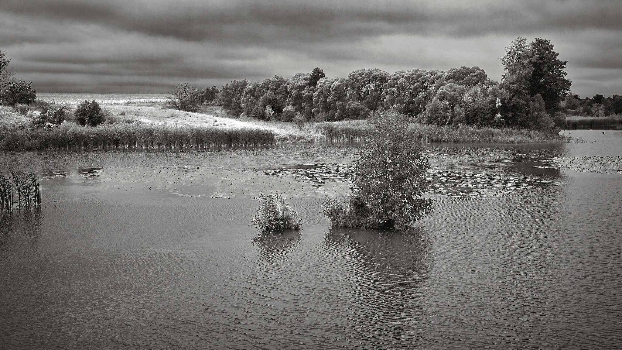 Sigma DP2 sample photo. Over the lake. photography