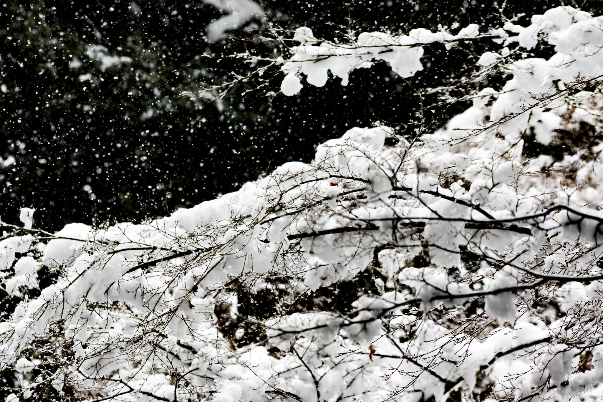 Pentax K-70 sample photo. Snow photography