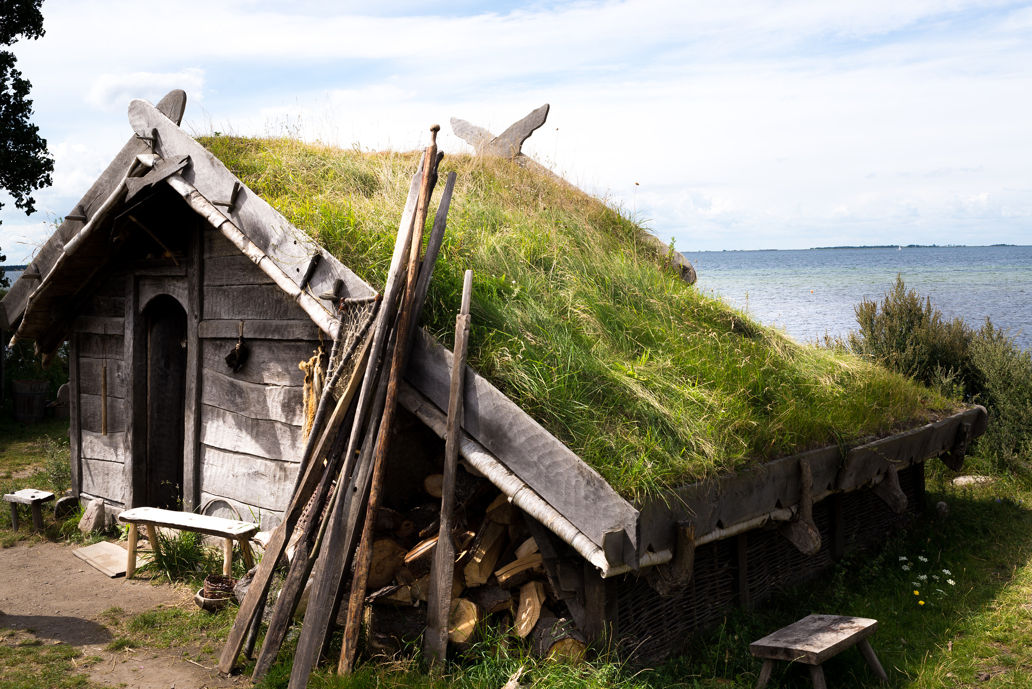 AF Zoom-Nikkor 35-70mm f/3.3-4.5 N sample photo. Sweden dreams - viking home photography