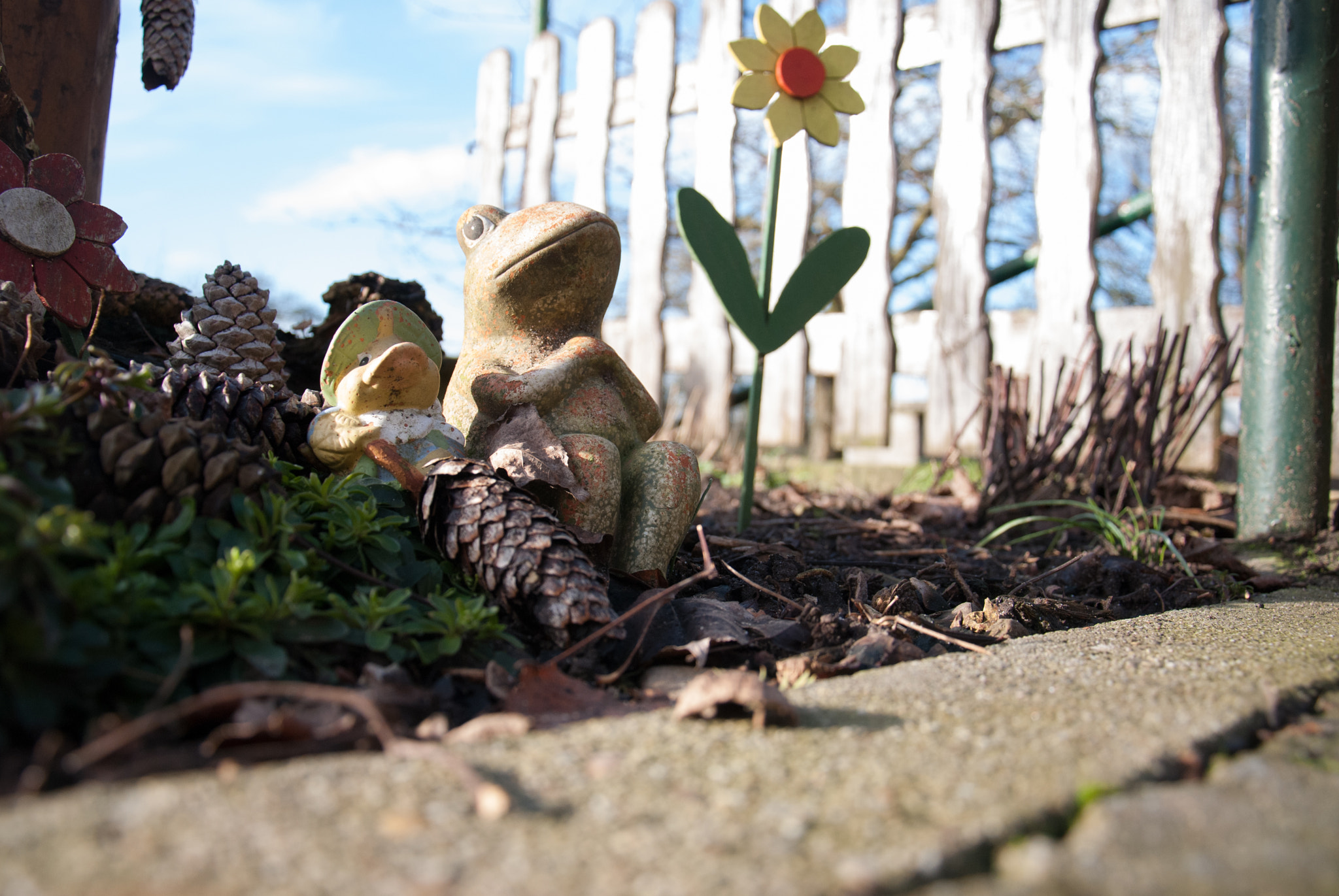 Nikon D80 sample photo. Chilling frog photography