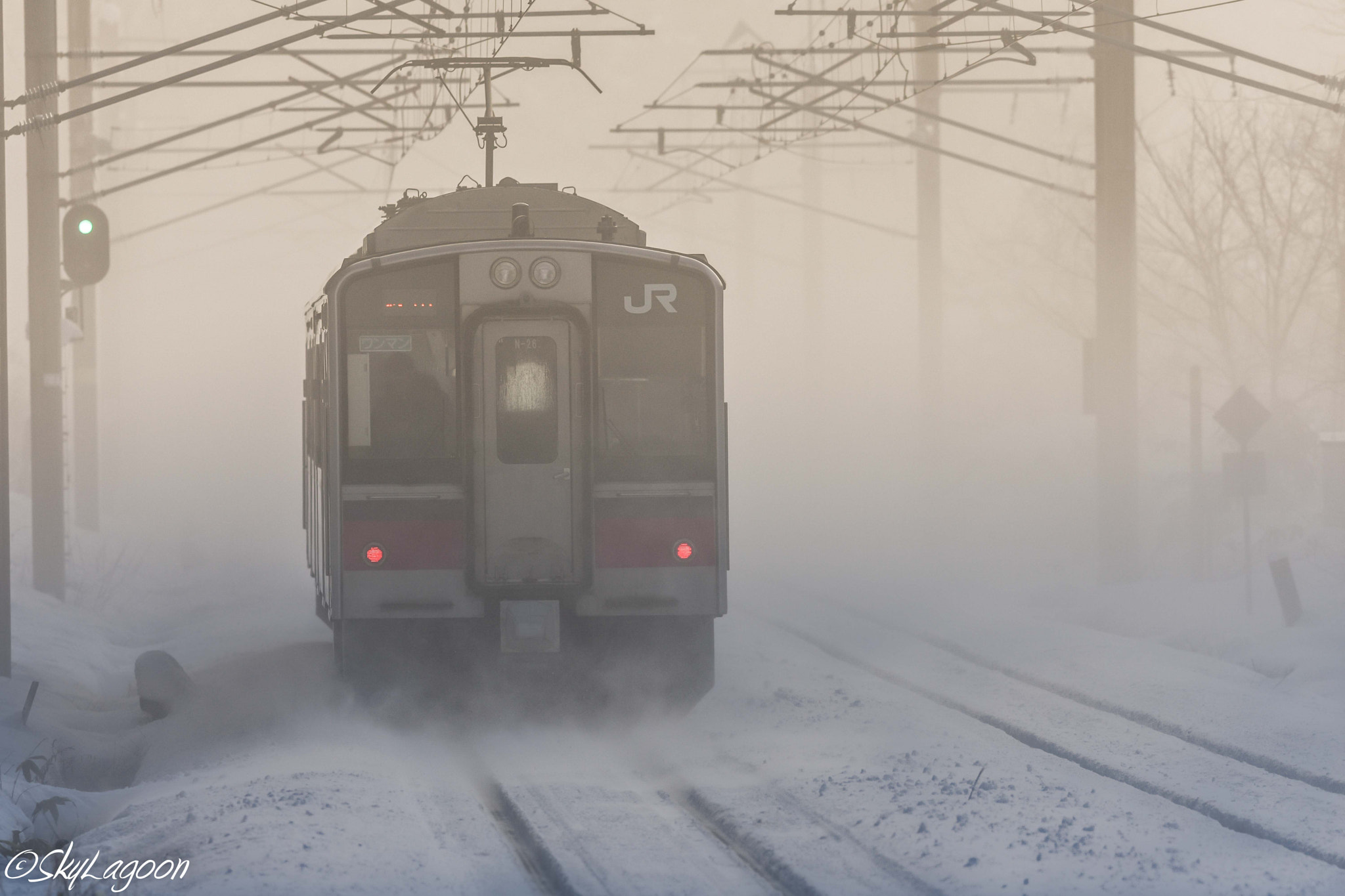 Nikon AF-S Nikkor 300mm F2.8G ED VR II sample photo. White out... photography