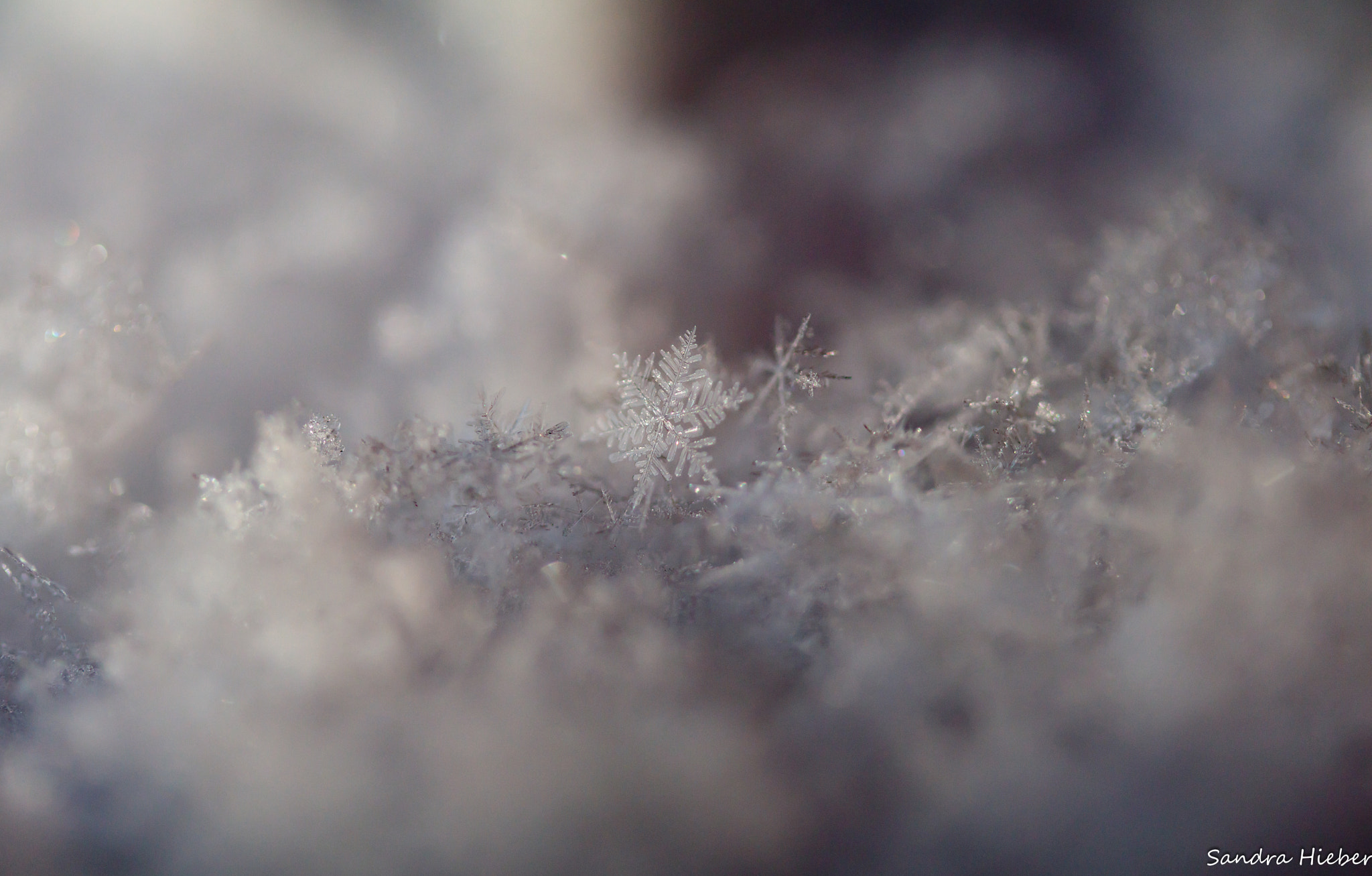 Canon EF-S 60mm F2.8 Macro USM sample photo. Ice crystal photography