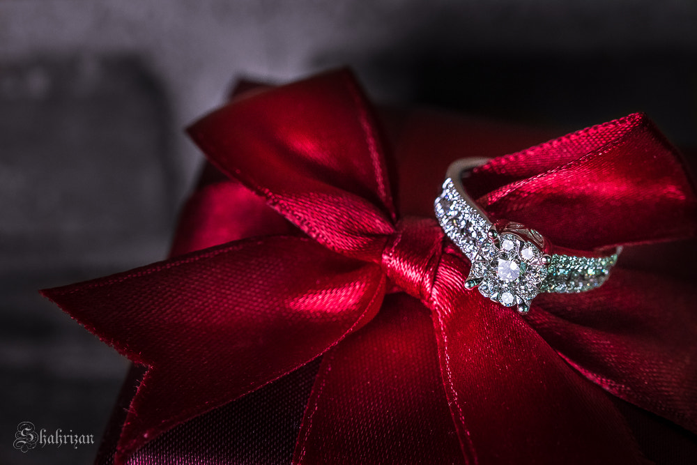 Nikon D500 sample photo. Women best friend photography
