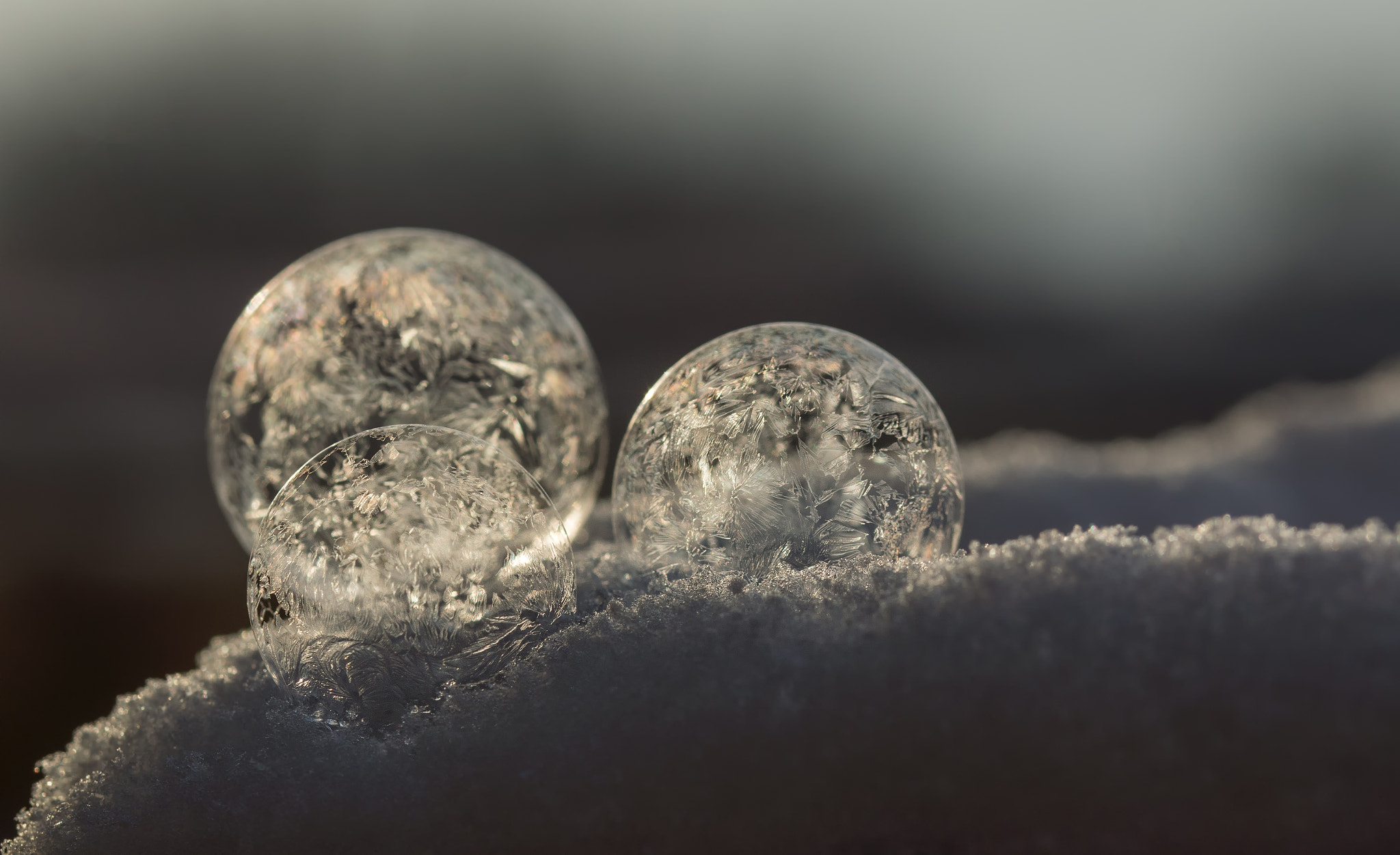 Sony SLT-A77 + 105mm F2.8 sample photo. Frozen bubbles photography