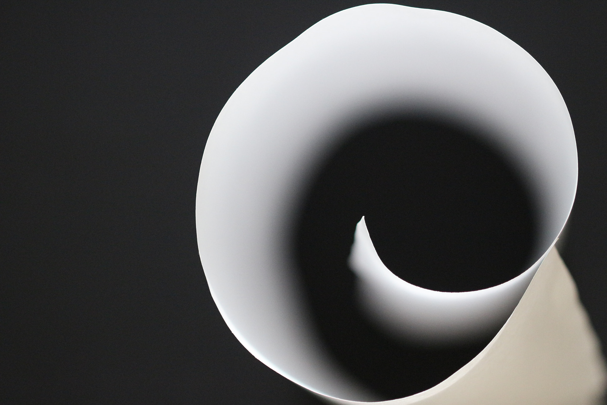 Canon EF 100mm F2.8L Macro IS USM sample photo. Just a white paper photography
