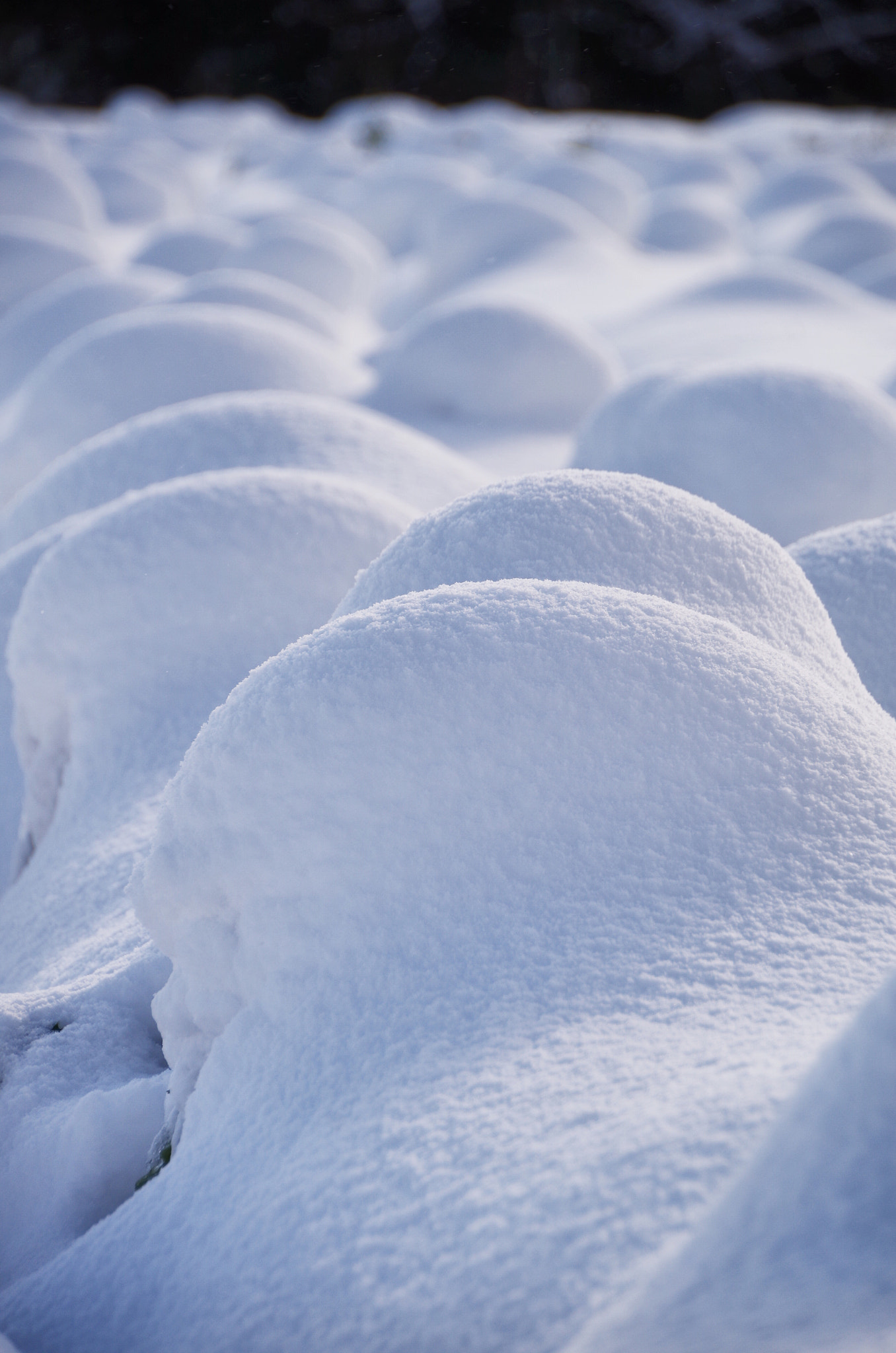 Pentax smc DA 18-270mm F3.5-6.3 ED SDM sample photo. Yukiboushi (snow-capped field) photography