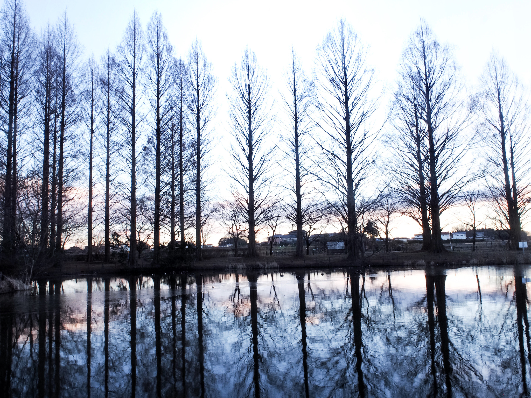Olympus PEN E-PL6 sample photo. Untitled photography