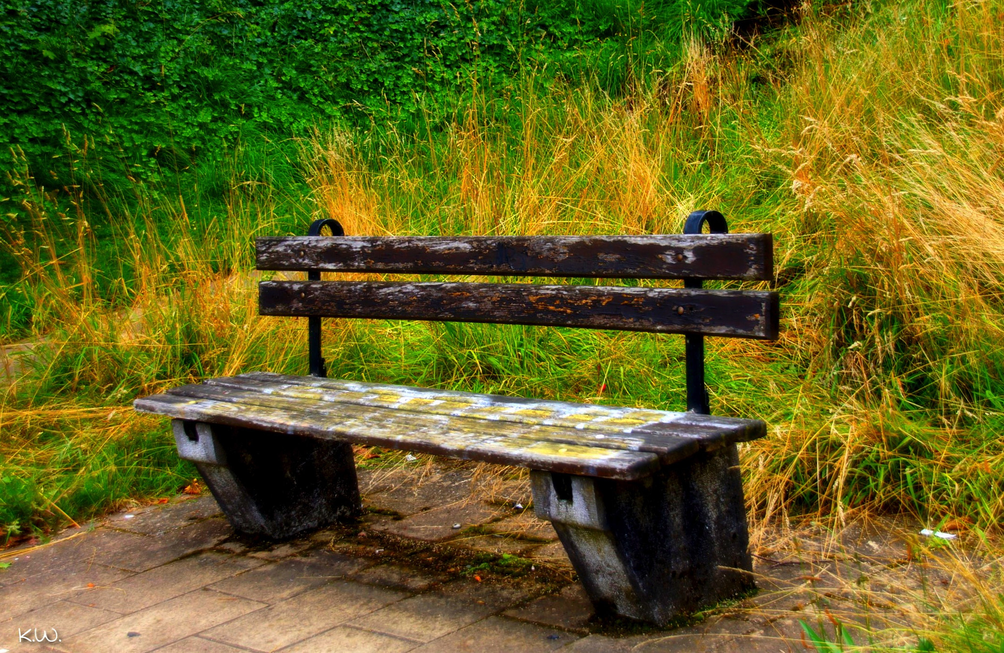 Sony SLT-A57 sample photo. Bench photography