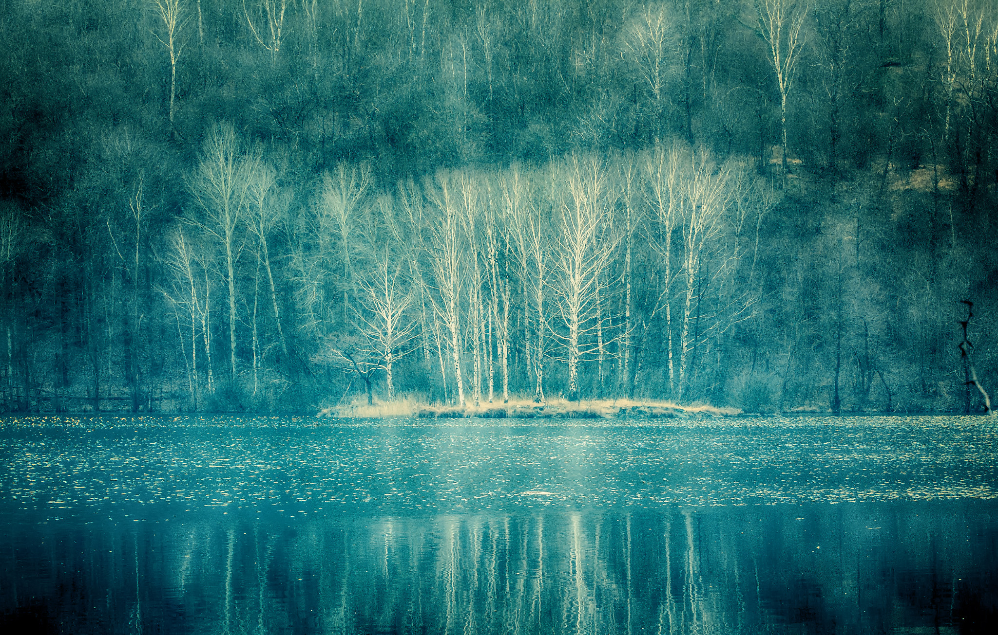 Tamron SP 35mm F1.8 Di VC USD sample photo. The heart of winter photography