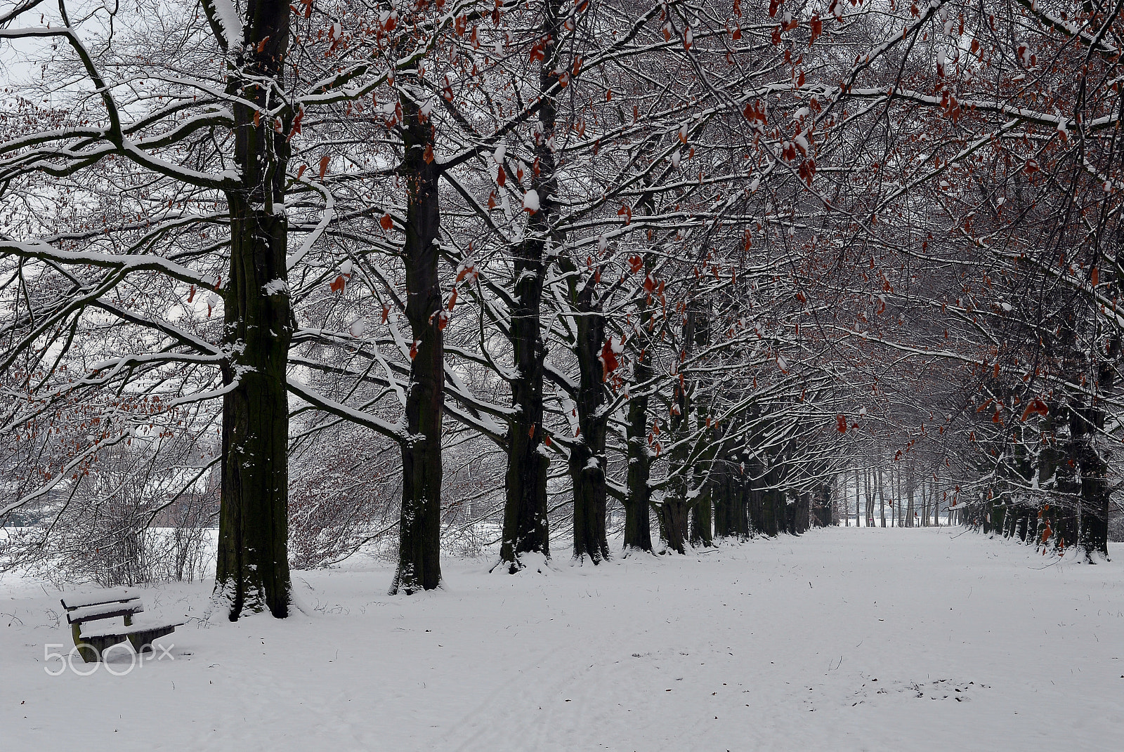 Nikon D200 sample photo. White photography