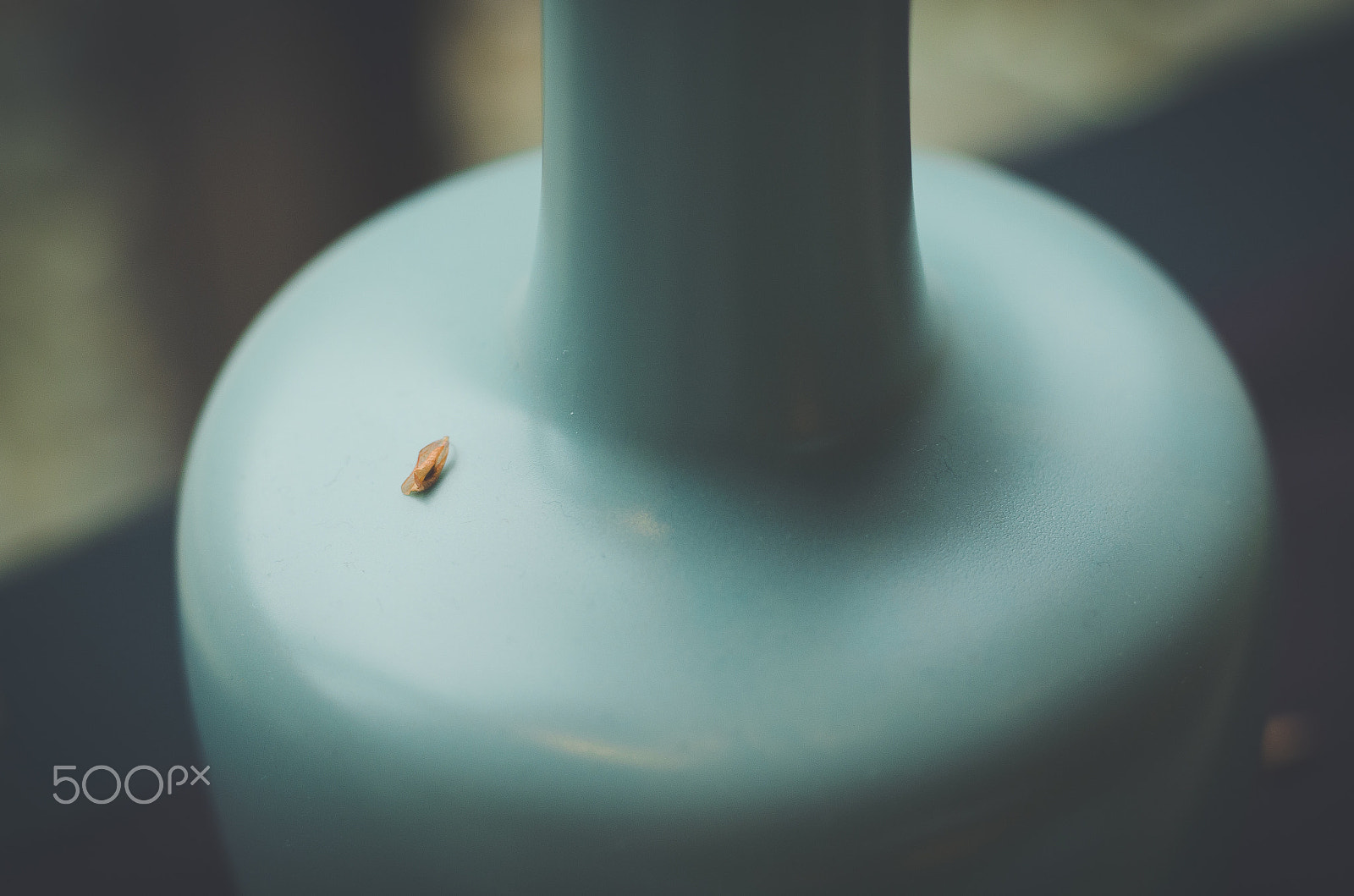 Nikon D7000 + Sigma 50mm F1.4 DG HSM Art sample photo