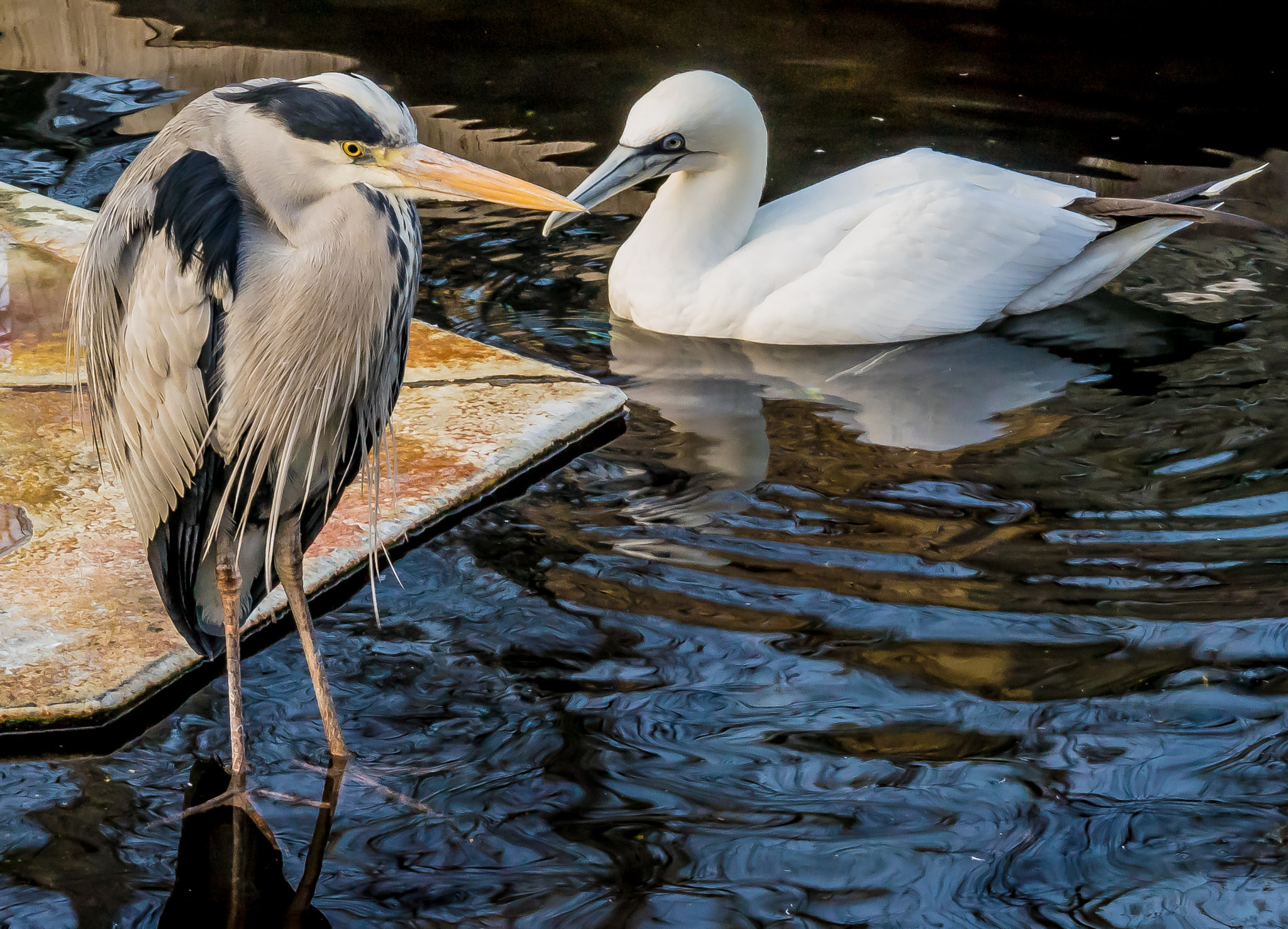 Sony a7 sample photo. Too cold to talk photography