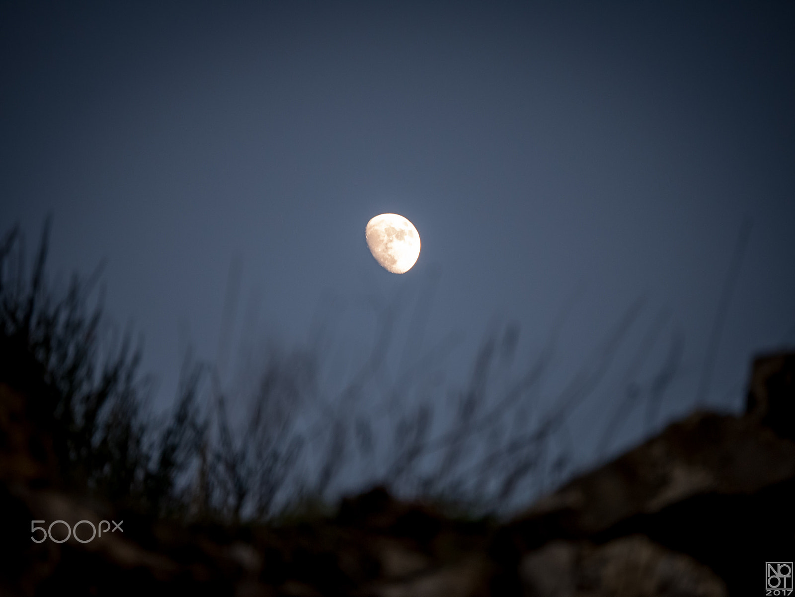 Panasonic Lumix DMC-GX7 sample photo. The lost moon (color) photography