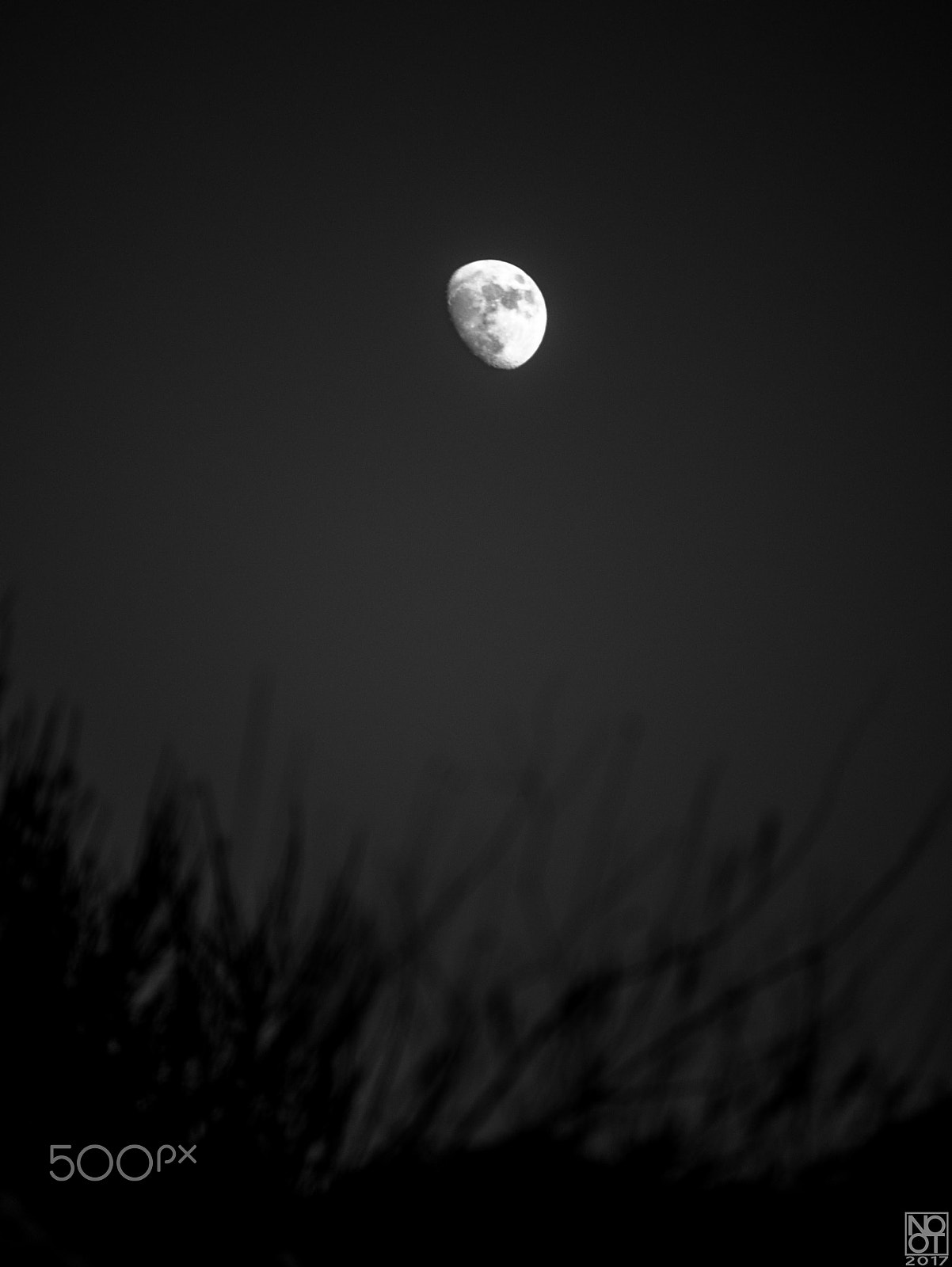 Panasonic Lumix DMC-GX7 sample photo. The lost moon (b&w) photography