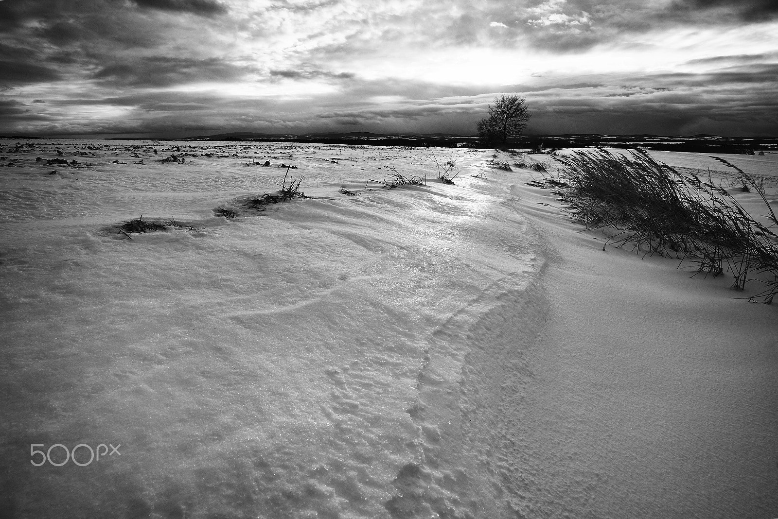 Samyang 14mm F2.8 ED AS IF UMC sample photo. In a snowdrift ... photography