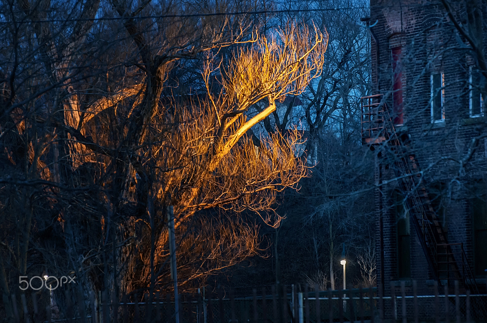 Nikon D5000 sample photo. Spooky photography