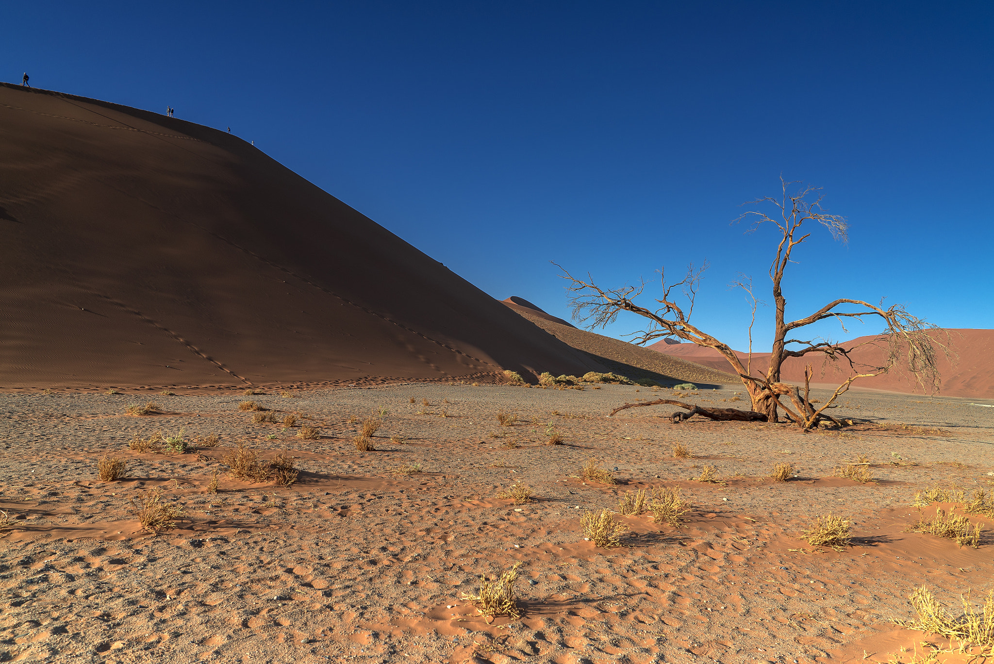 Sony a7S II + Sony FE 24-70mm F2.8 GM sample photo. Namib desert photography