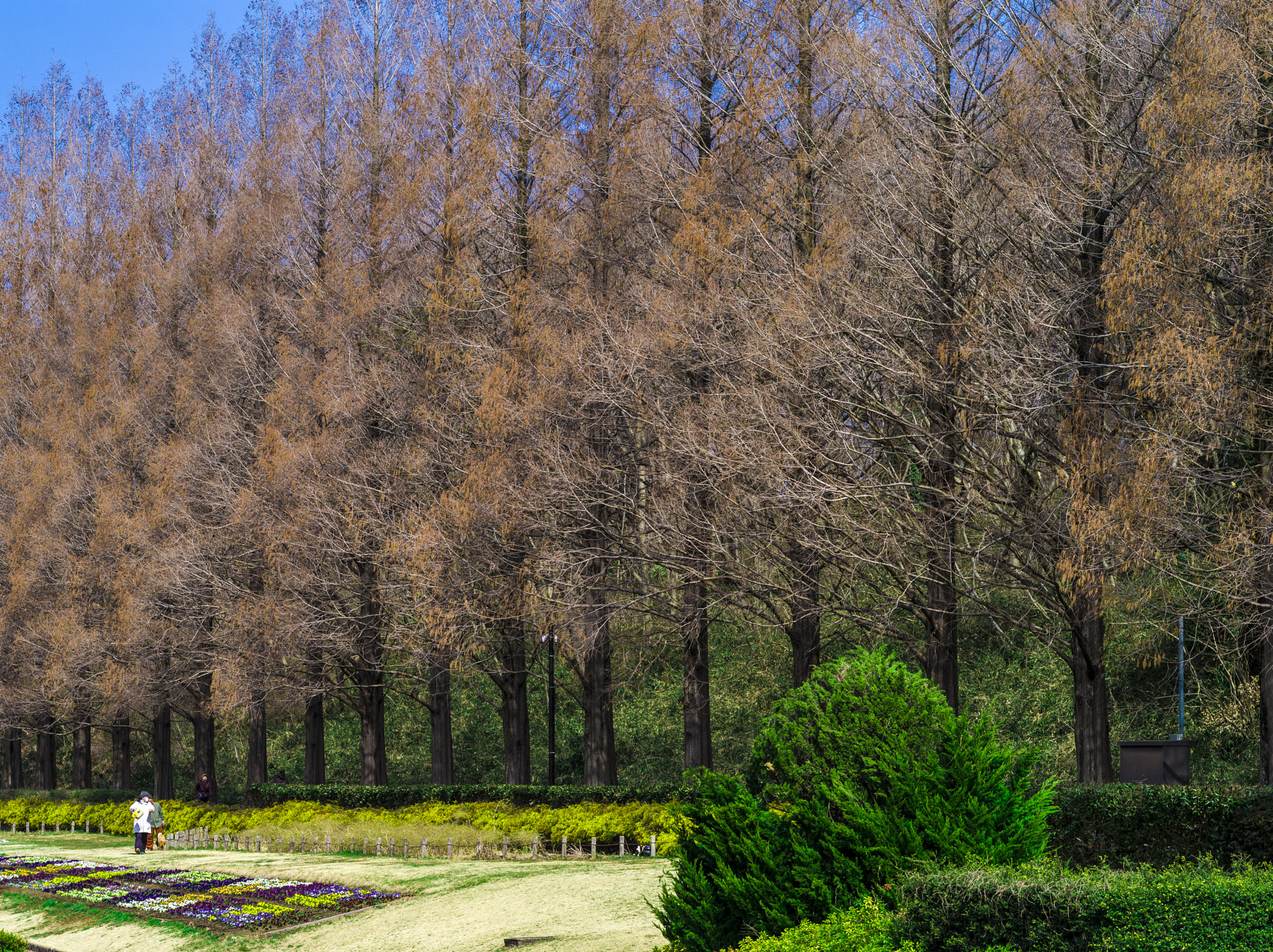 Pentax 645D sample photo. A park photography