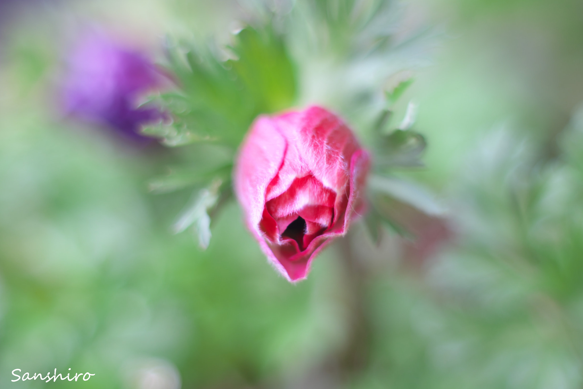 Fujifilm X-M1 sample photo. Untitled photography