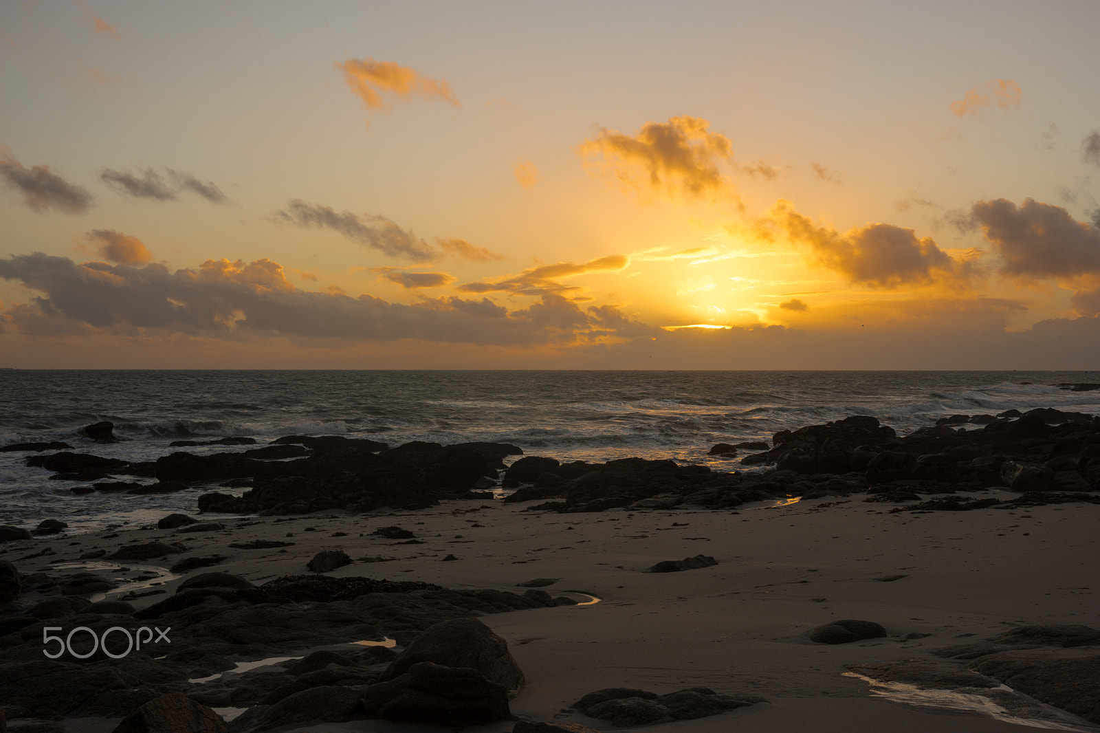 Sony SLT-A99V sample photo. Dsc photography