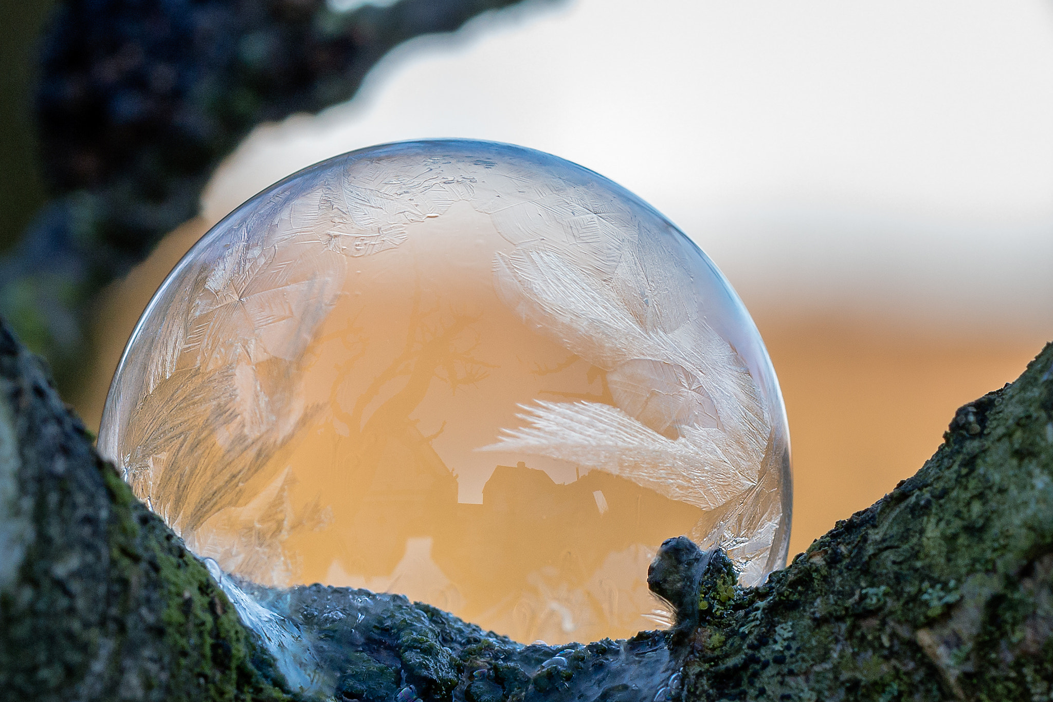 Nikon D800 sample photo. Bubble photography