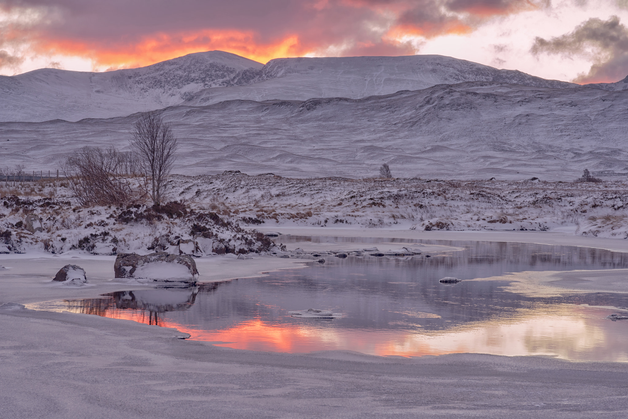 Nikon D800 sample photo. Sunrise at the black mount photography