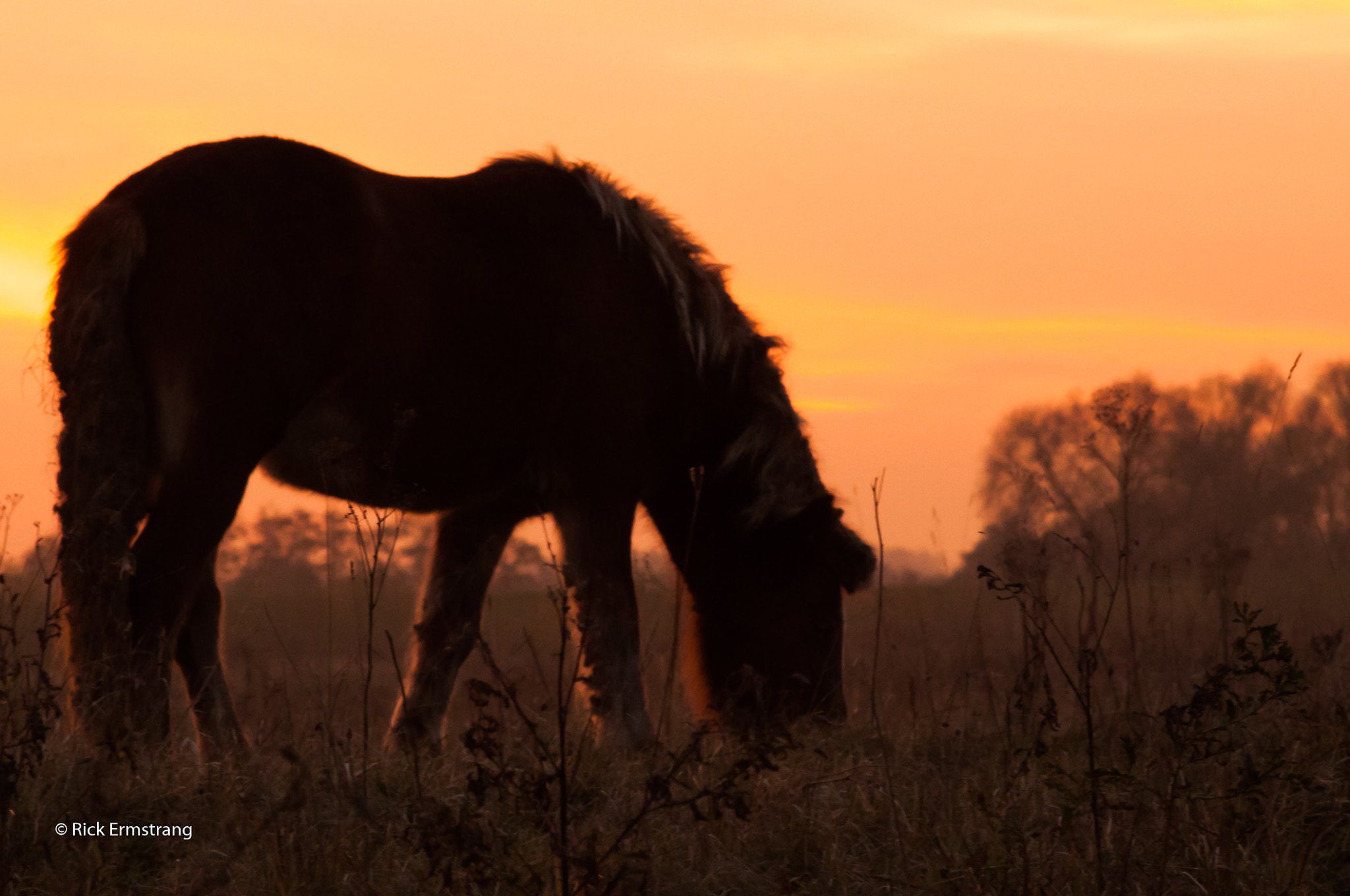 Nikon D90 sample photo. Sundown  photography