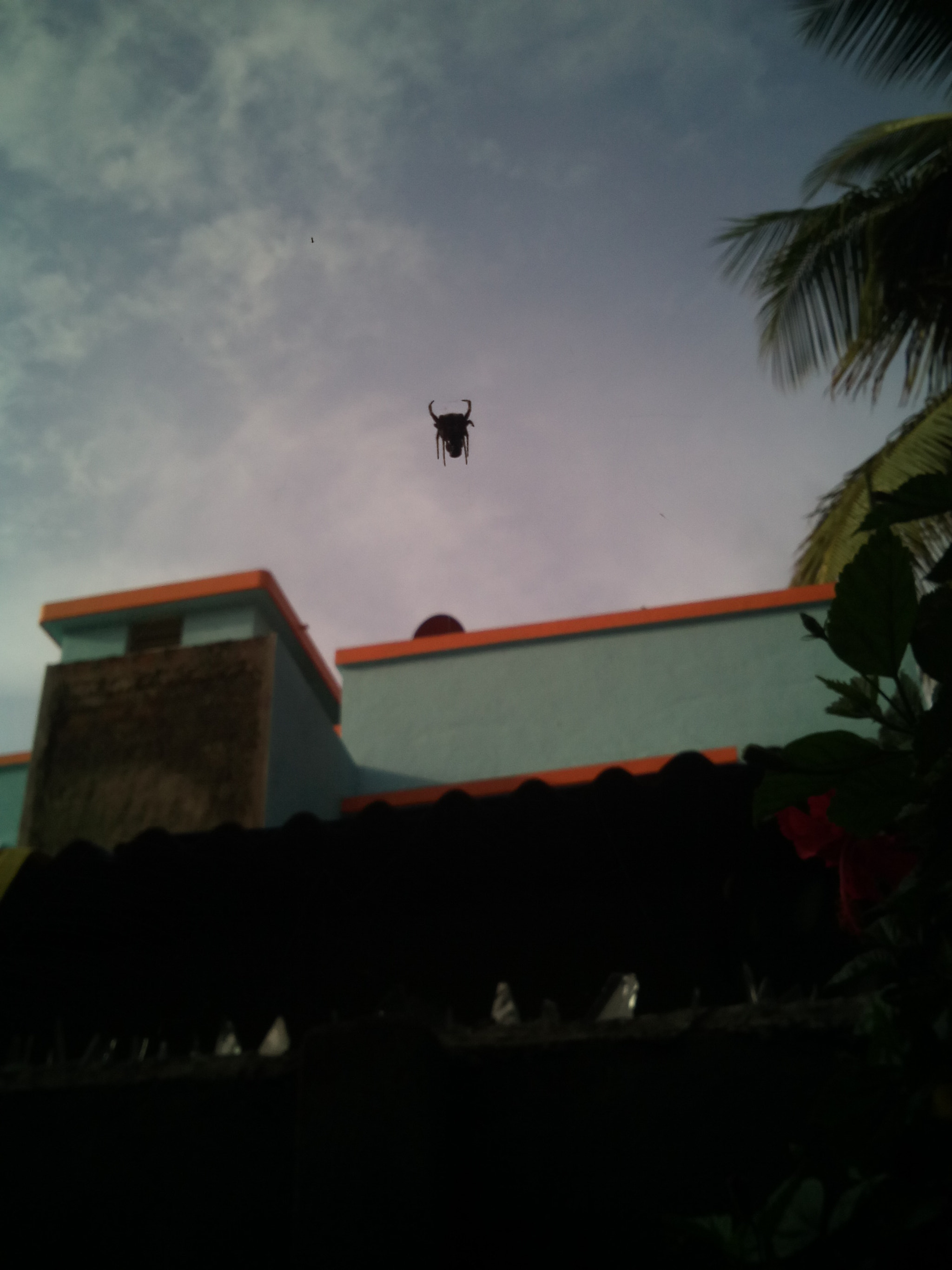 Micromax Canvas A1 sample photo. Mystic photography