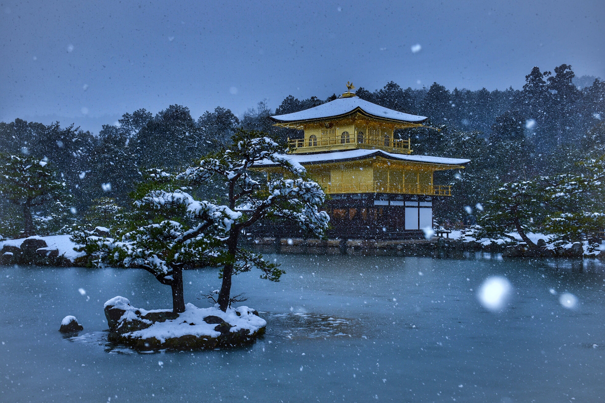 Nikon D750 sample photo. 雪の金閣寺 photography