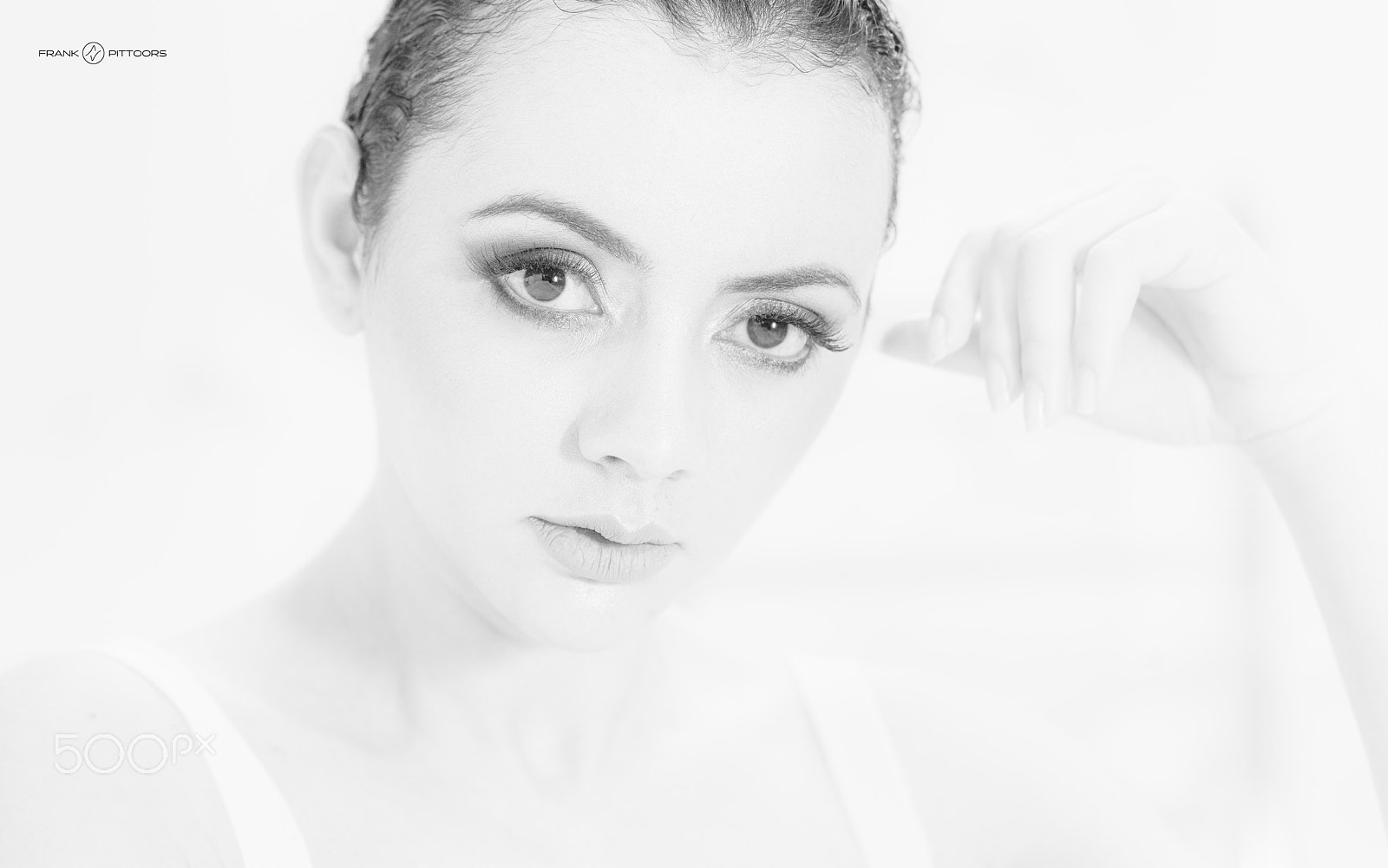 Hasselblad H6D + HC 120 II sample photo. Frankpittoors photographer photography