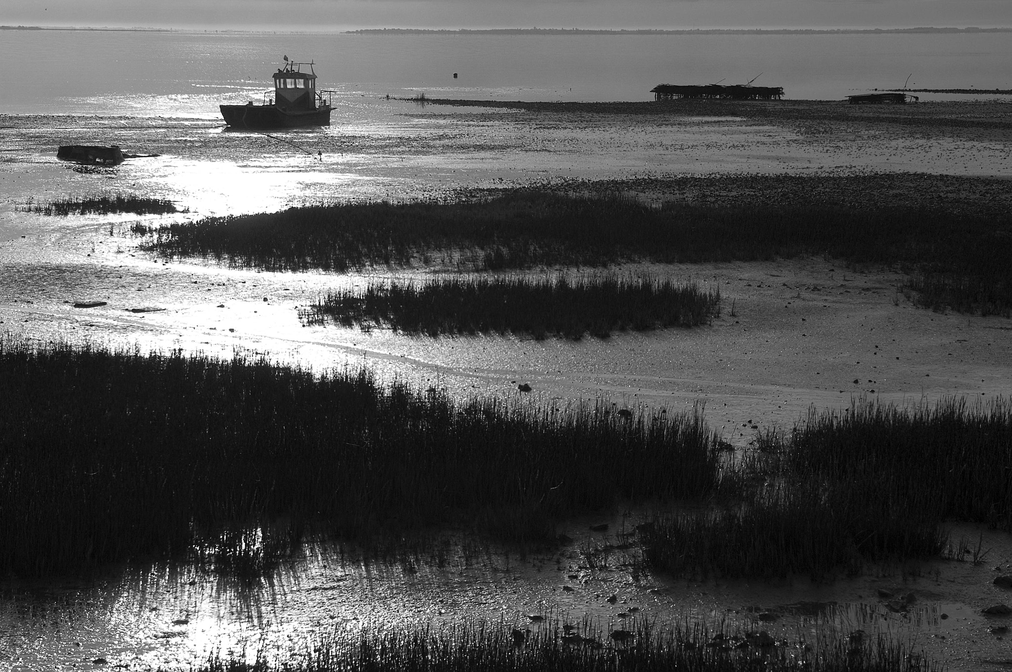 Nikon D2X sample photo. Zomaar photography